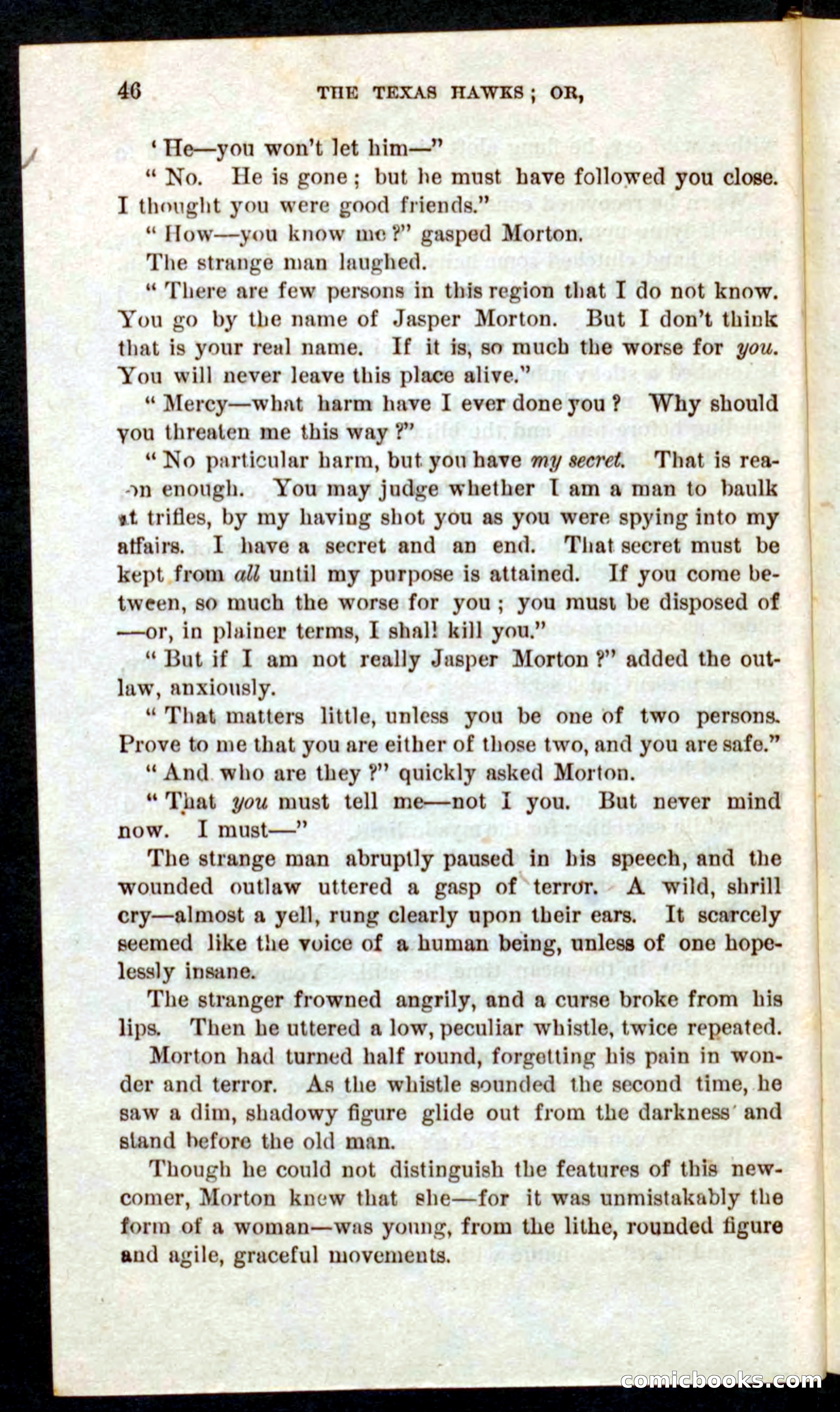 Beadle's Pocket Novels No. 59: The Texas Hawks — page 42 of 100