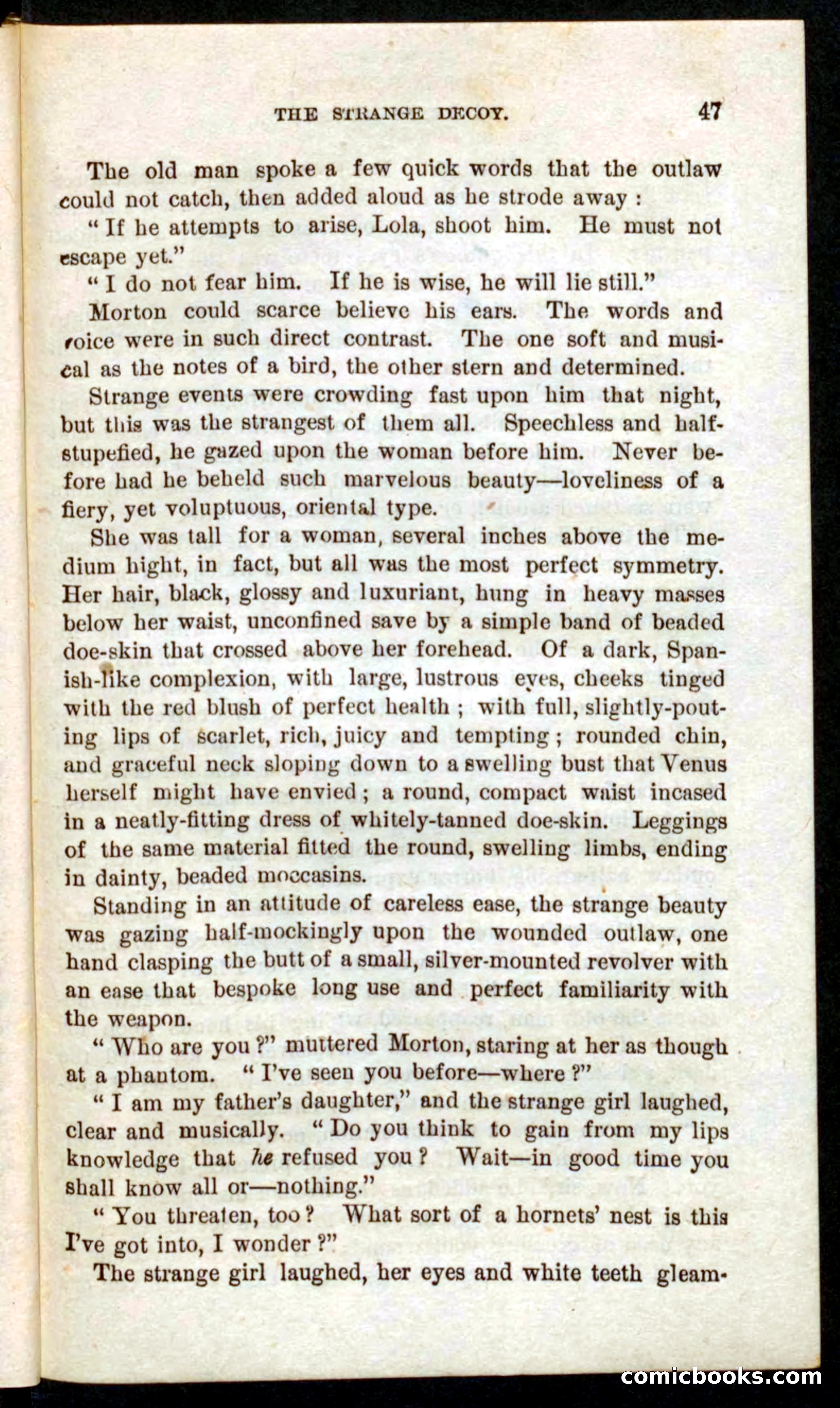 Beadle's Pocket Novels No. 59: The Texas Hawks — page 43 of 100