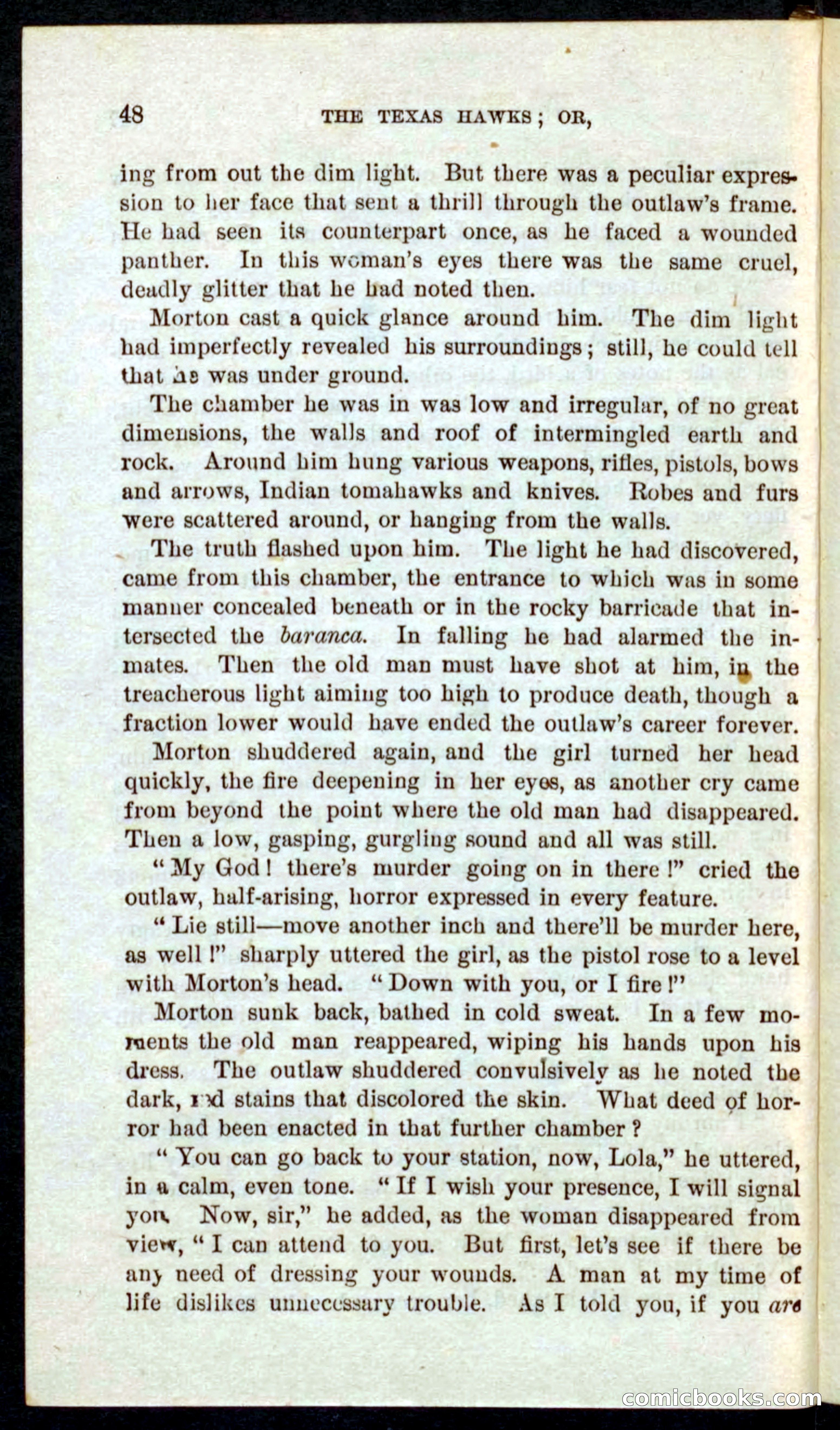 Beadle's Pocket Novels No. 59: The Texas Hawks — page 44 of 100