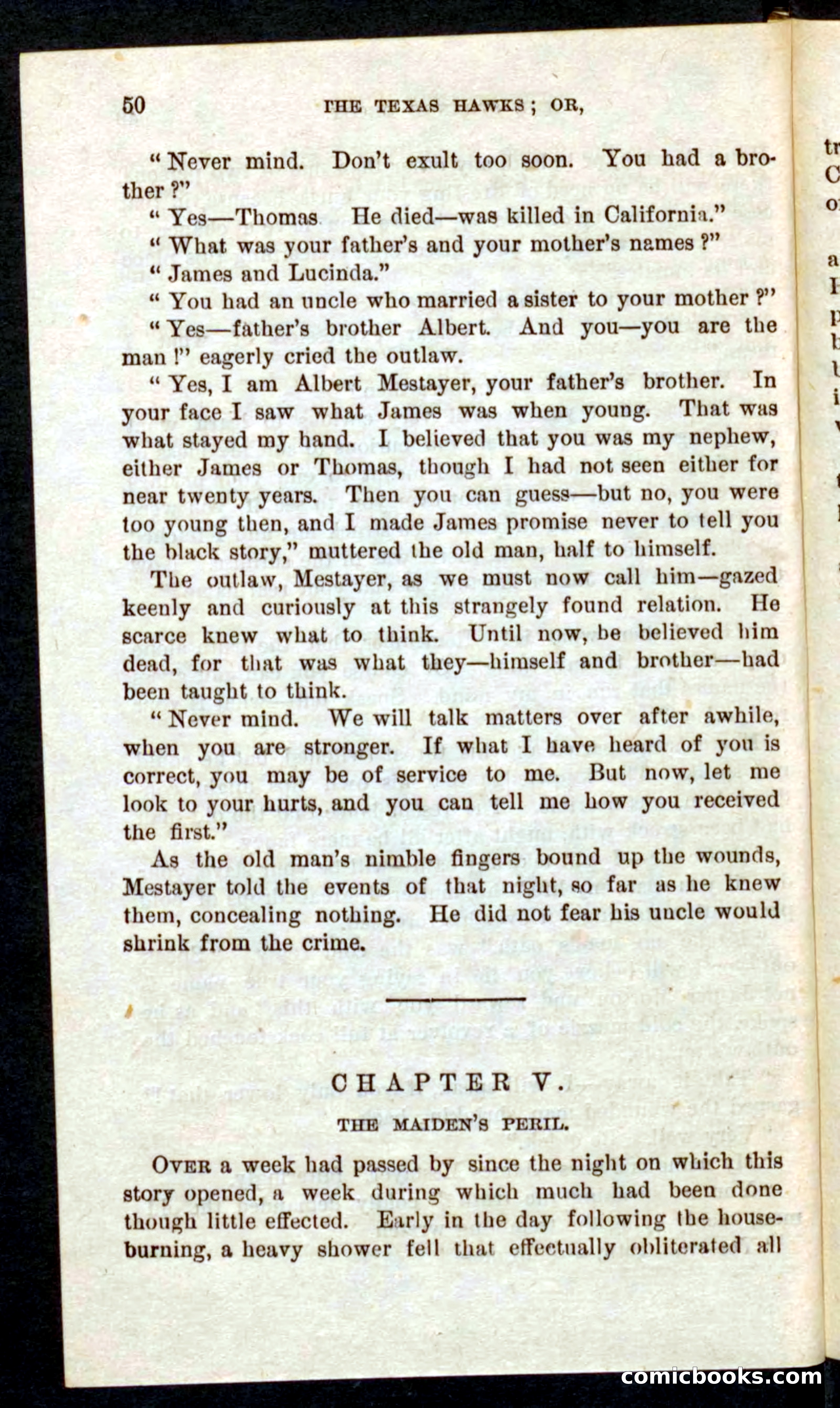 Beadle's Pocket Novels No. 59: The Texas Hawks — page 46 of 100