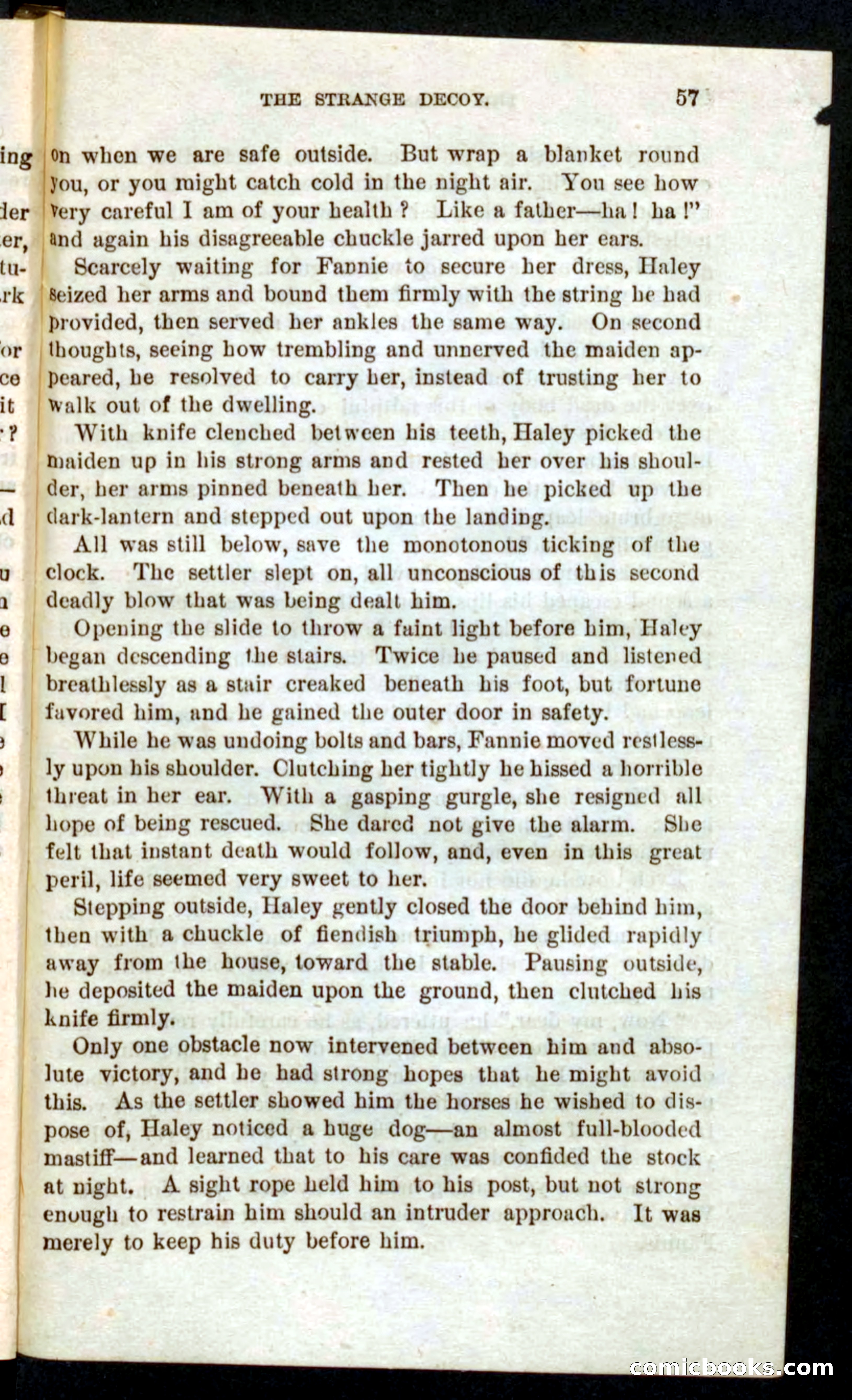 Beadle's Pocket Novels No. 59: The Texas Hawks — page 53 of 100