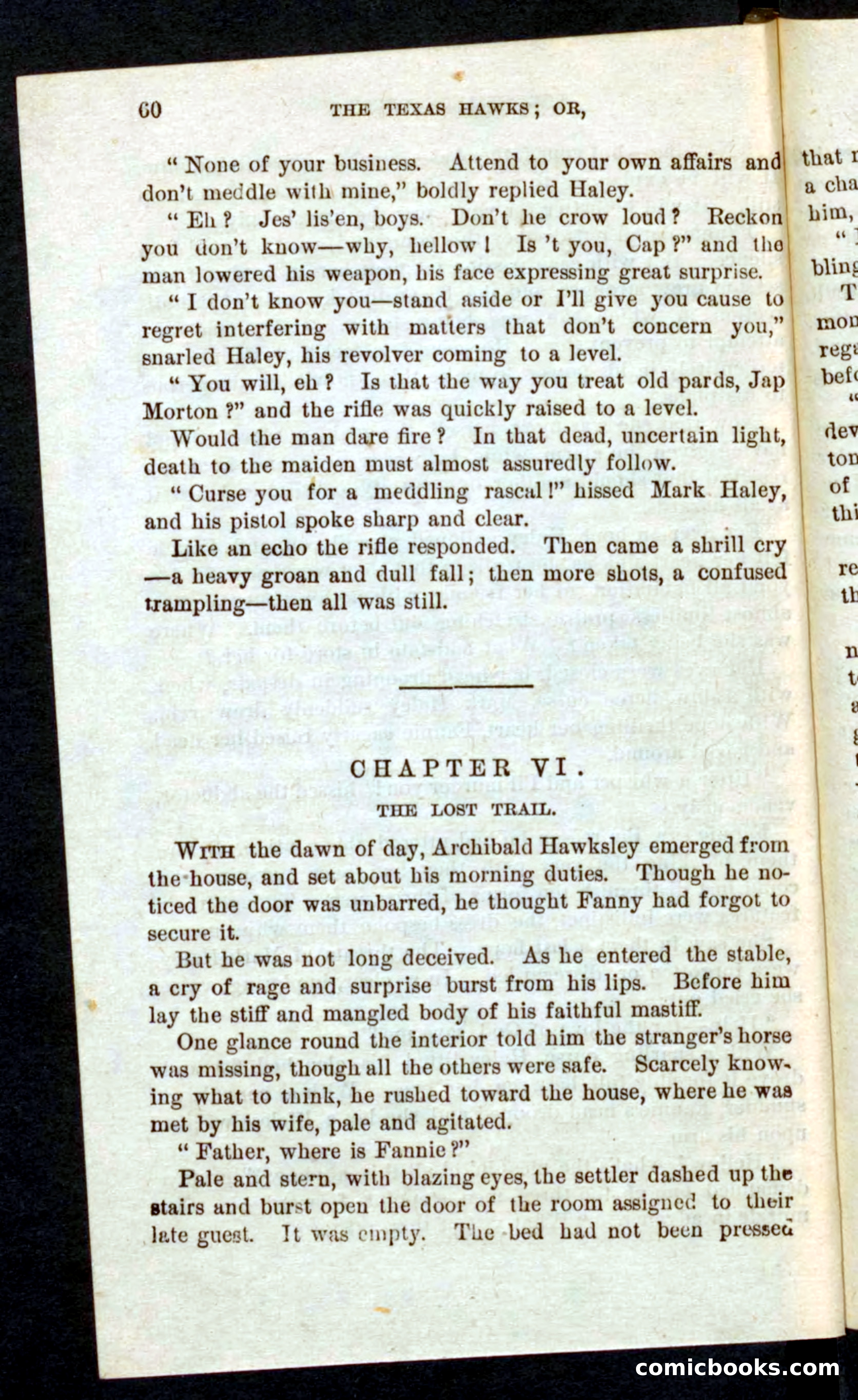 Beadle's Pocket Novels No. 59: The Texas Hawks — page 56 of 100