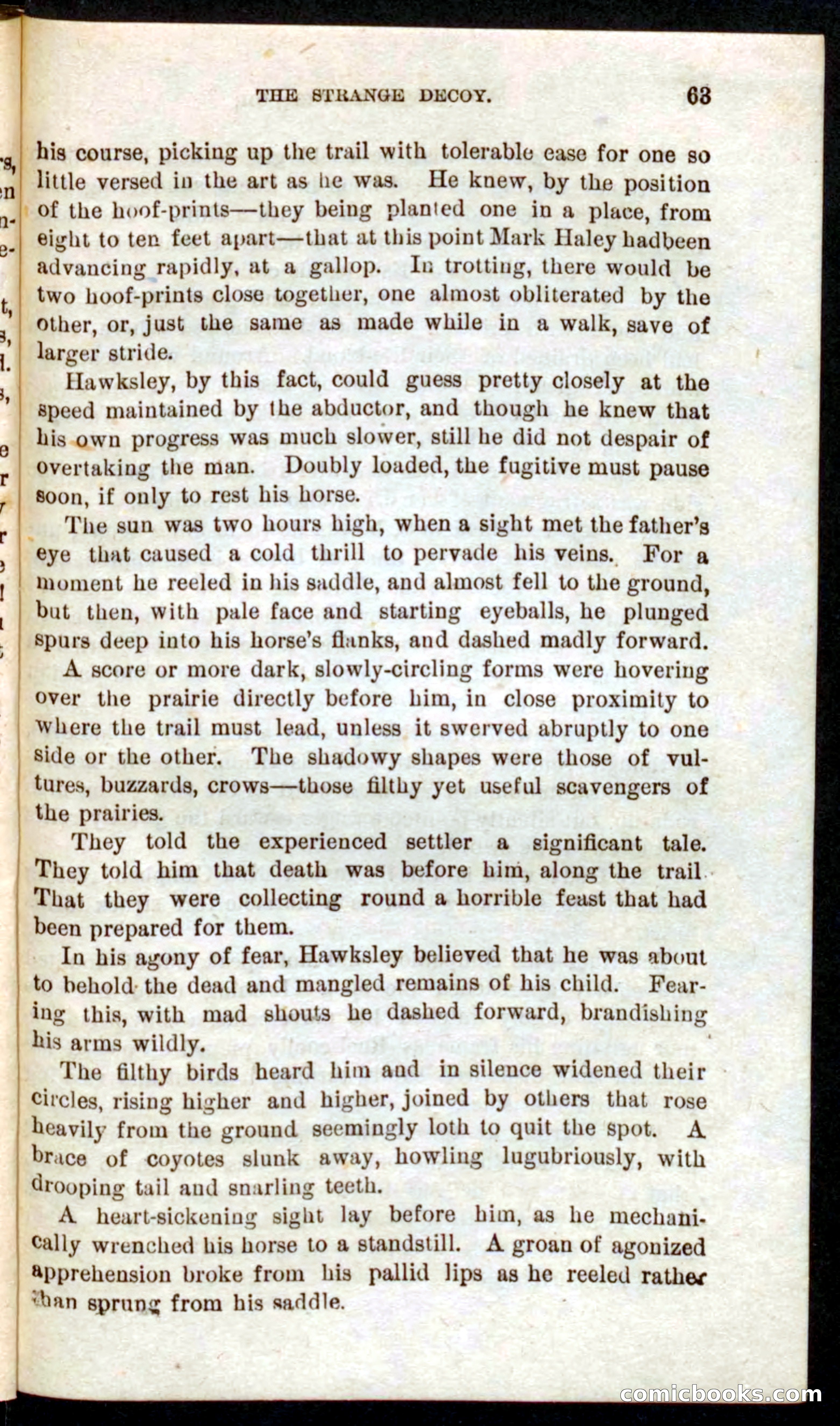 Beadle's Pocket Novels No. 59: The Texas Hawks — page 59 of 100