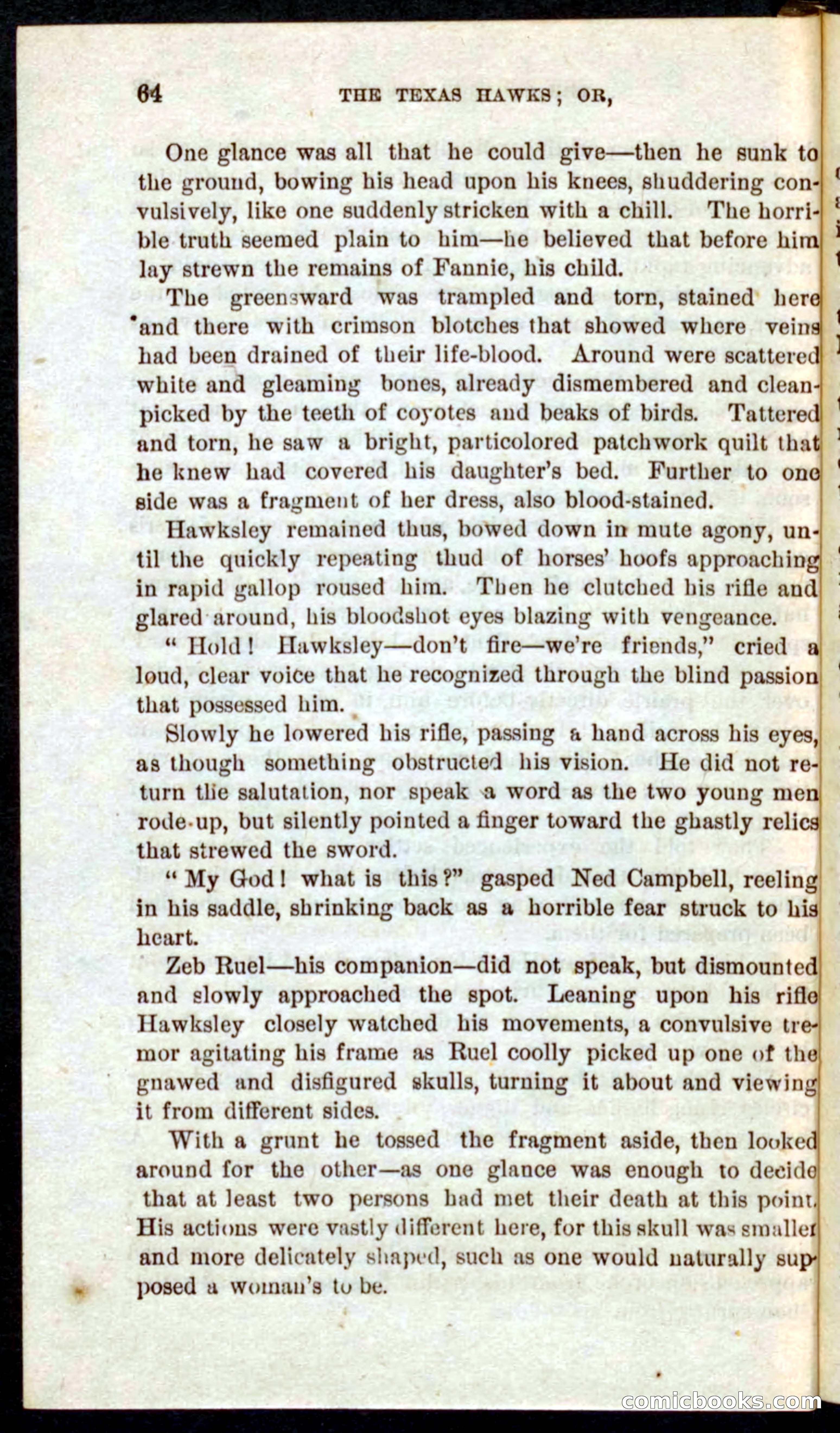 Beadle's Pocket Novels No. 59: The Texas Hawks — page 60 of 100