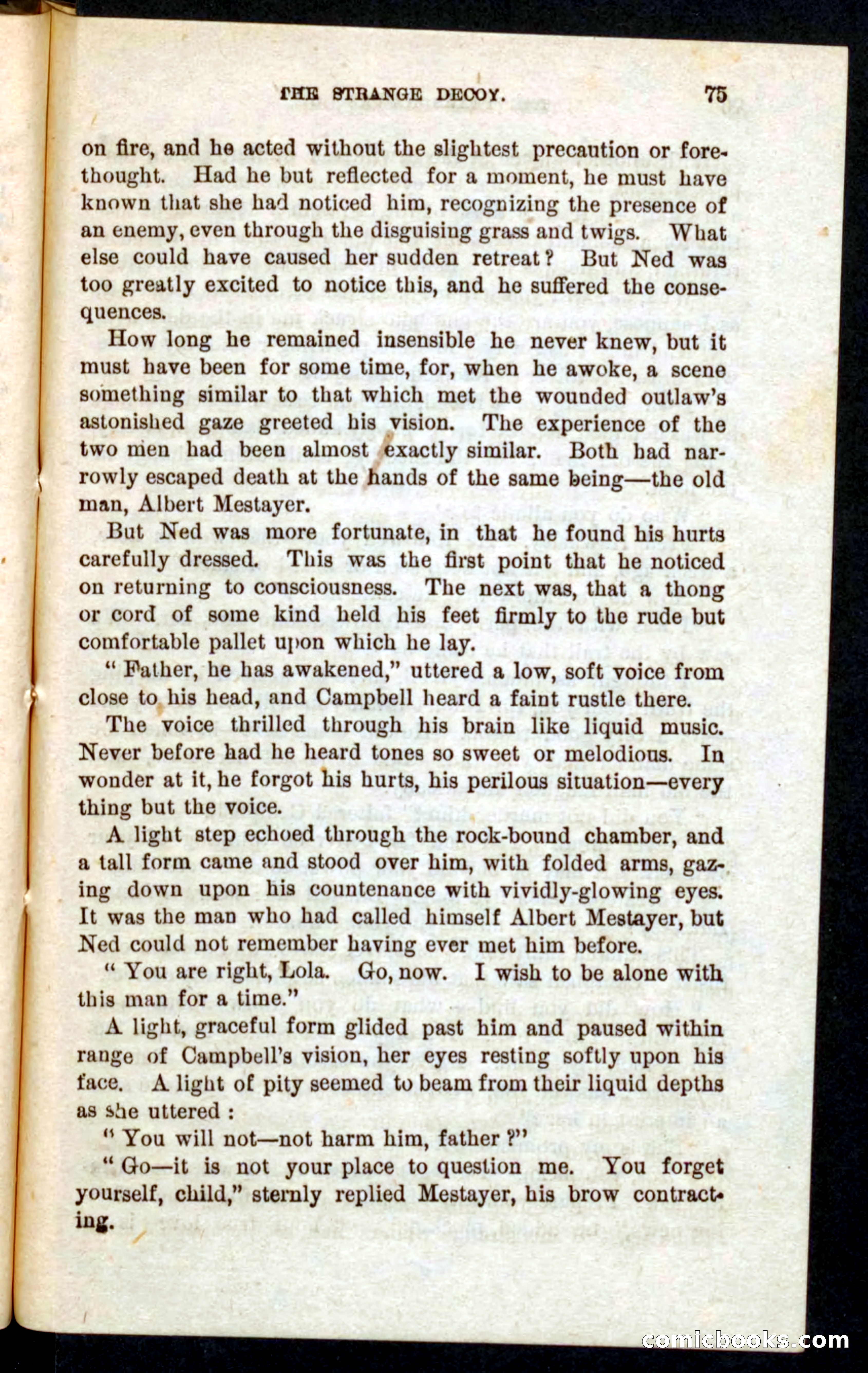 Beadle's Pocket Novels No. 59: The Texas Hawks — page 71 of 100