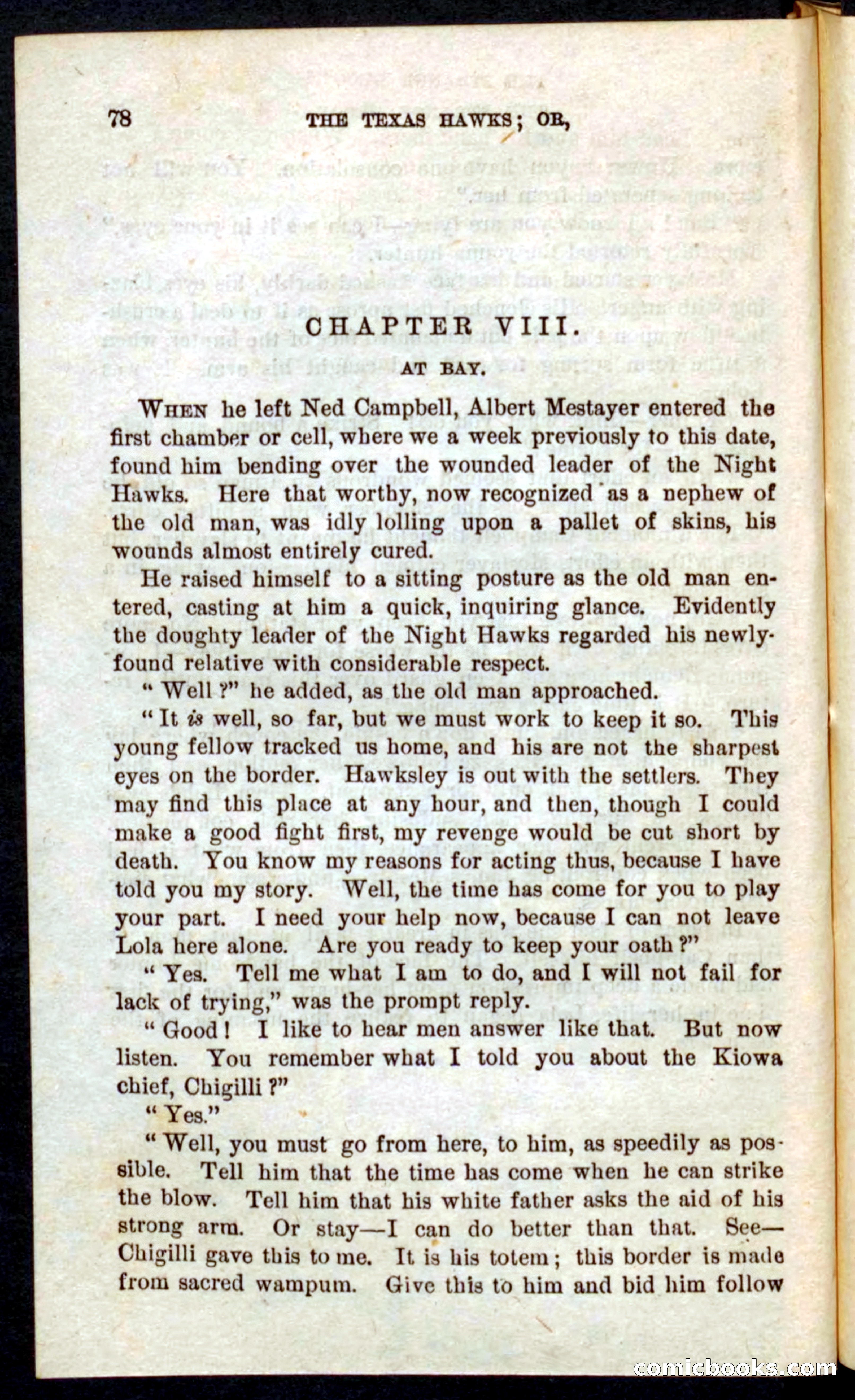 Beadle's Pocket Novels No. 59: The Texas Hawks — page 74 of 100