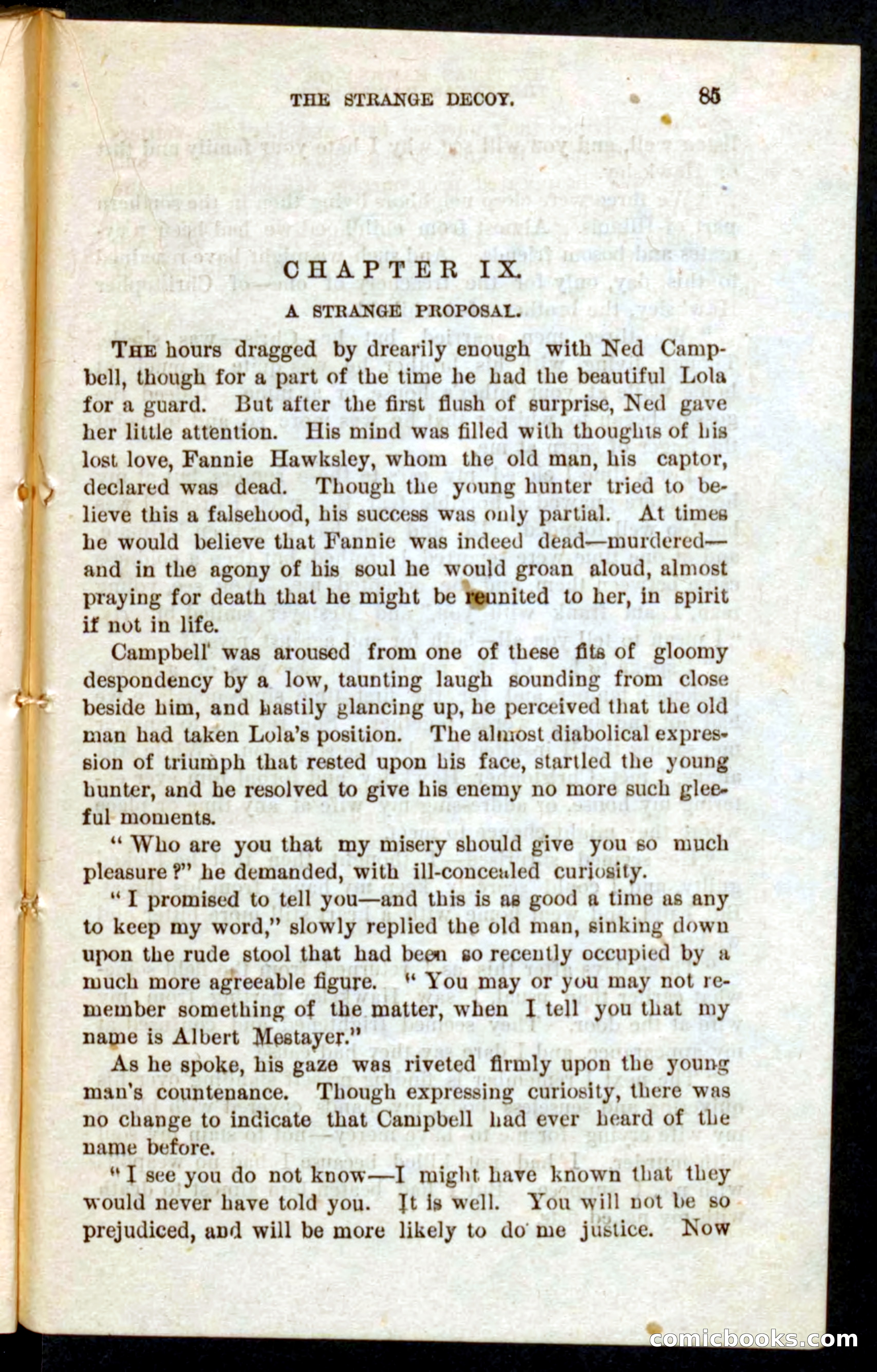 Beadle's Pocket Novels No. 59: The Texas Hawks — page 81 of 100
