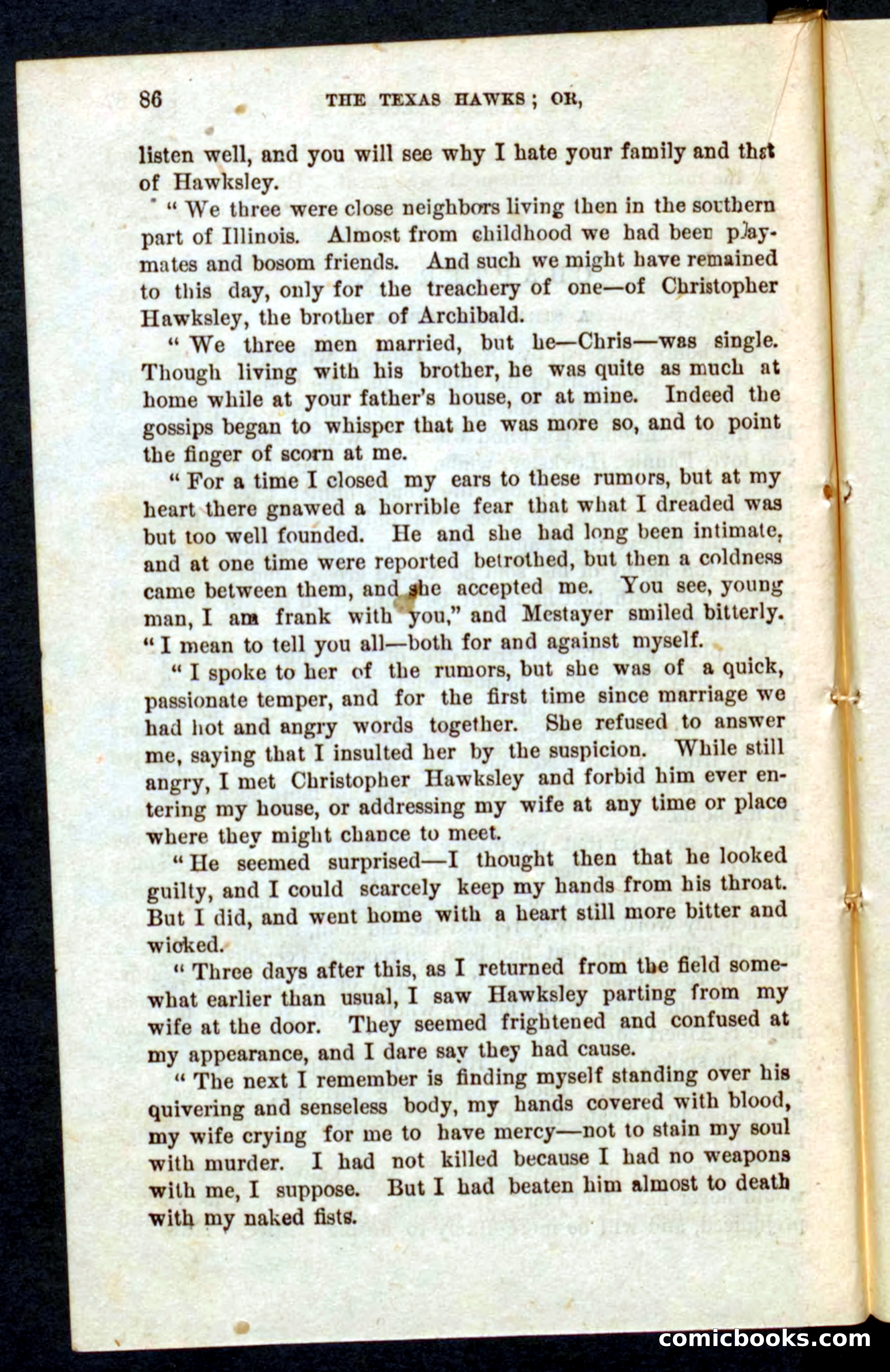 Beadle's Pocket Novels No. 59: The Texas Hawks — page 82 of 100
