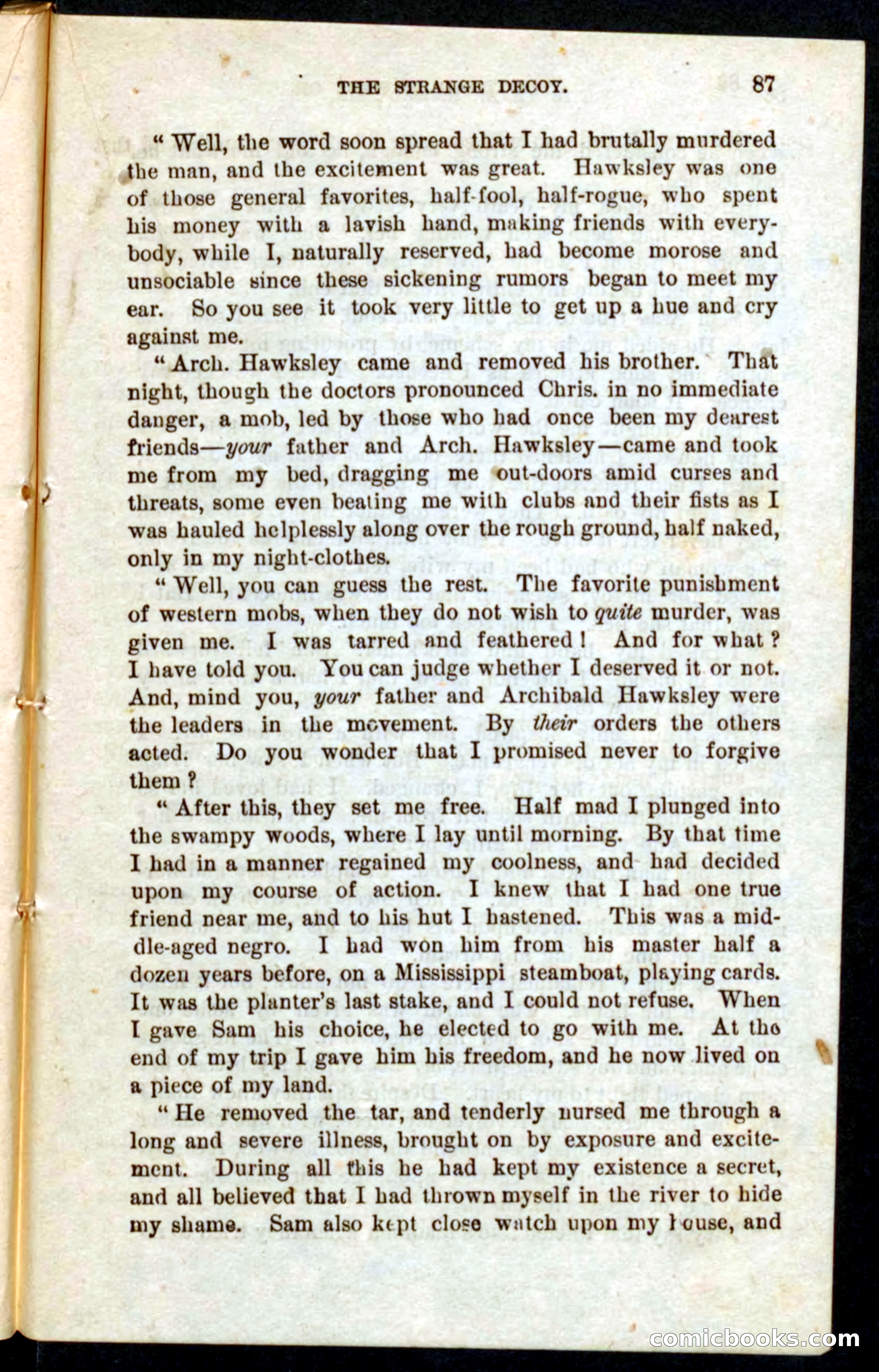 Beadle's Pocket Novels No. 59: The Texas Hawks — page 83 of 100