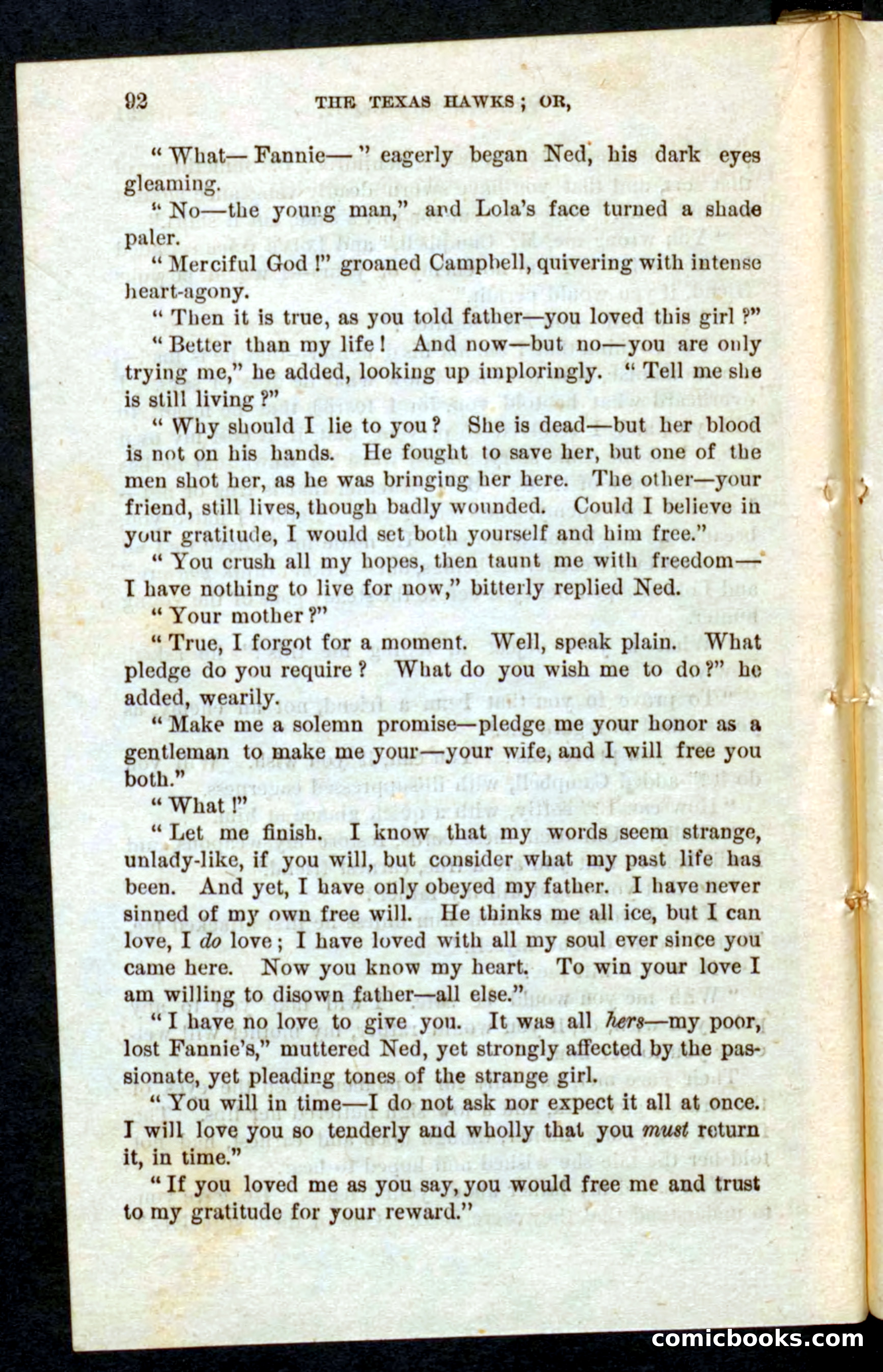 Beadle's Pocket Novels No. 59: The Texas Hawks — page 88 of 100