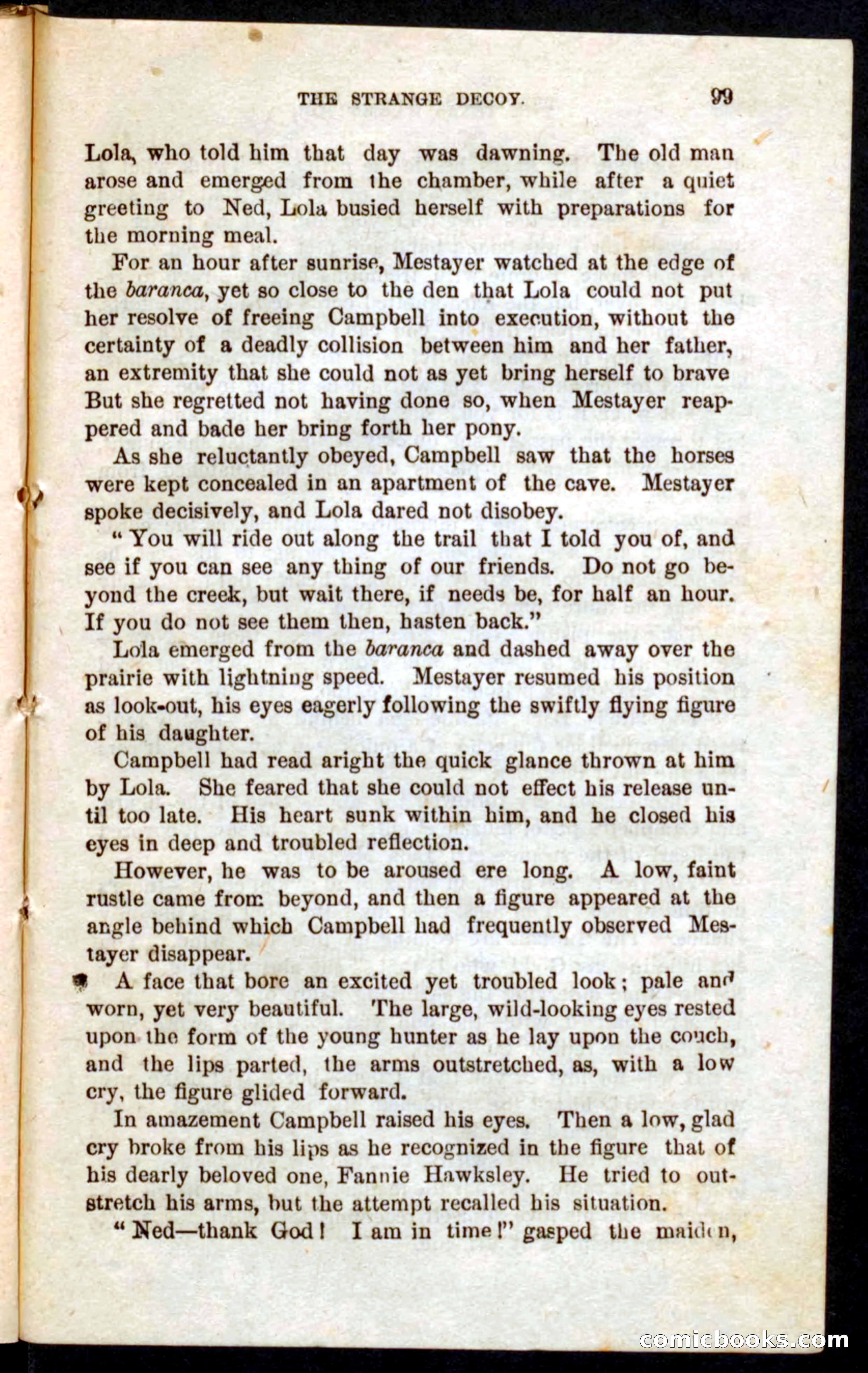 Beadle's Pocket Novels No. 59: The Texas Hawks — page 95 of 100