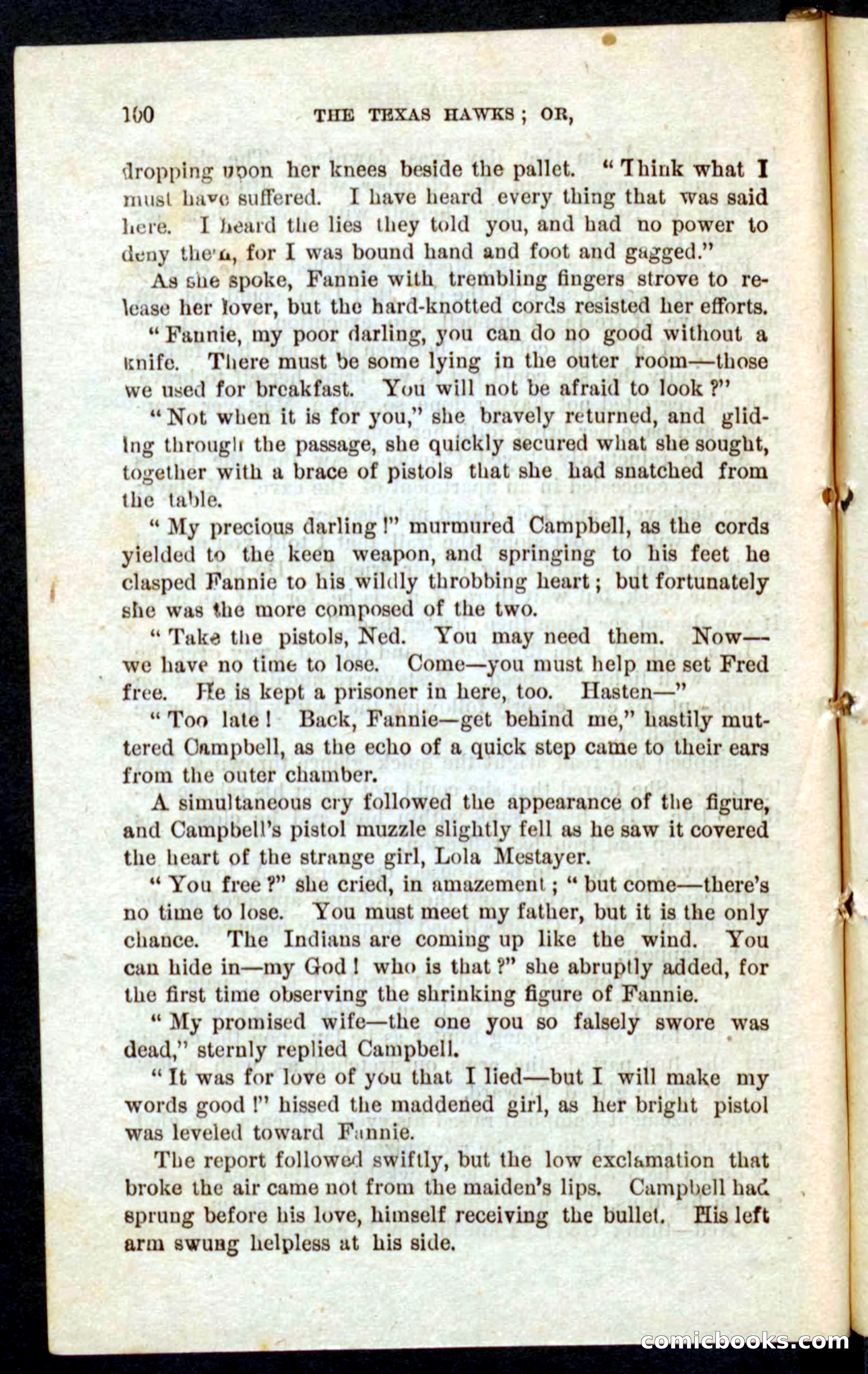 Beadle's Pocket Novels No. 59: The Texas Hawks — page 96 of 100