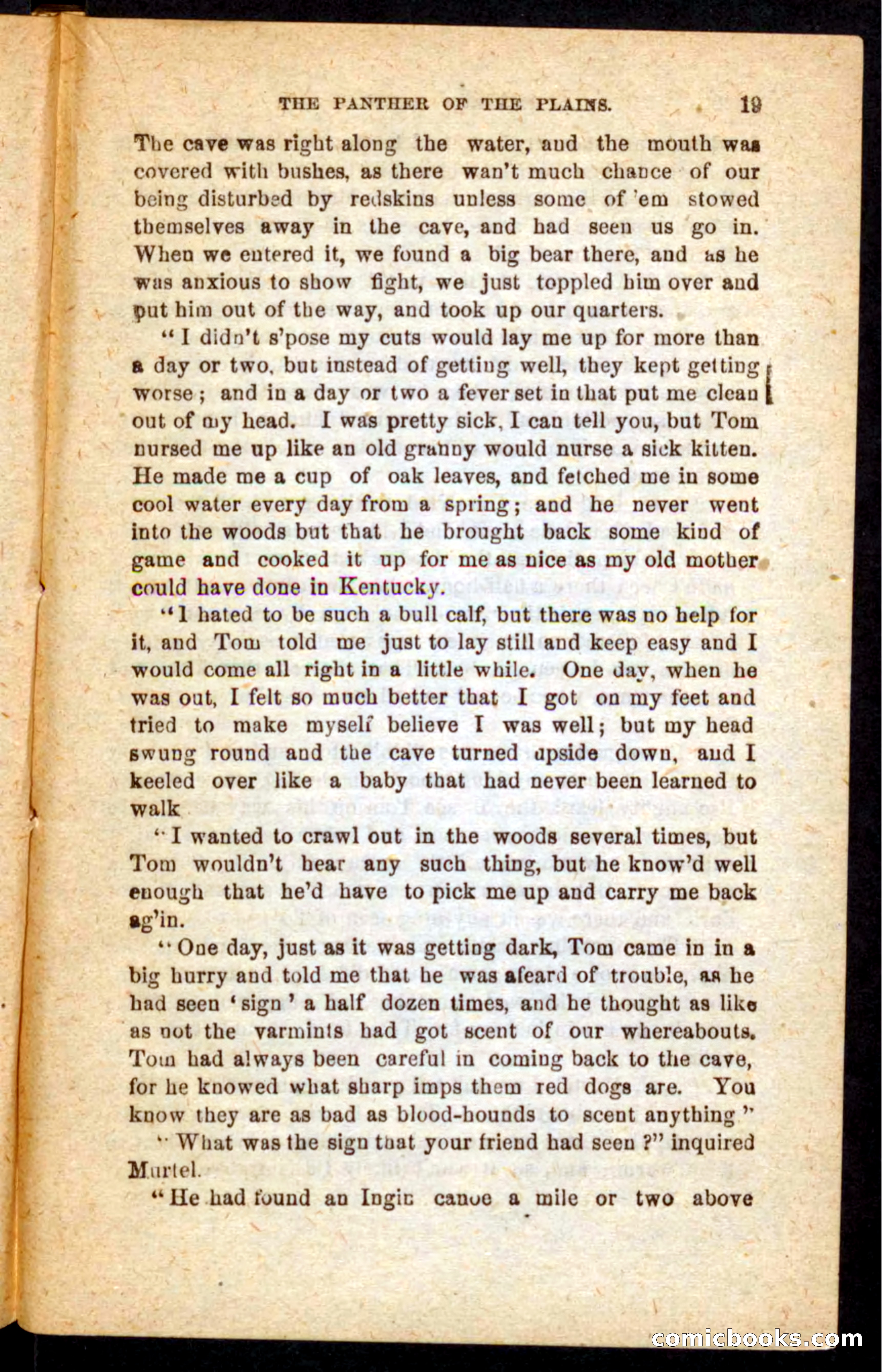The White Tracker — page 15 of 100