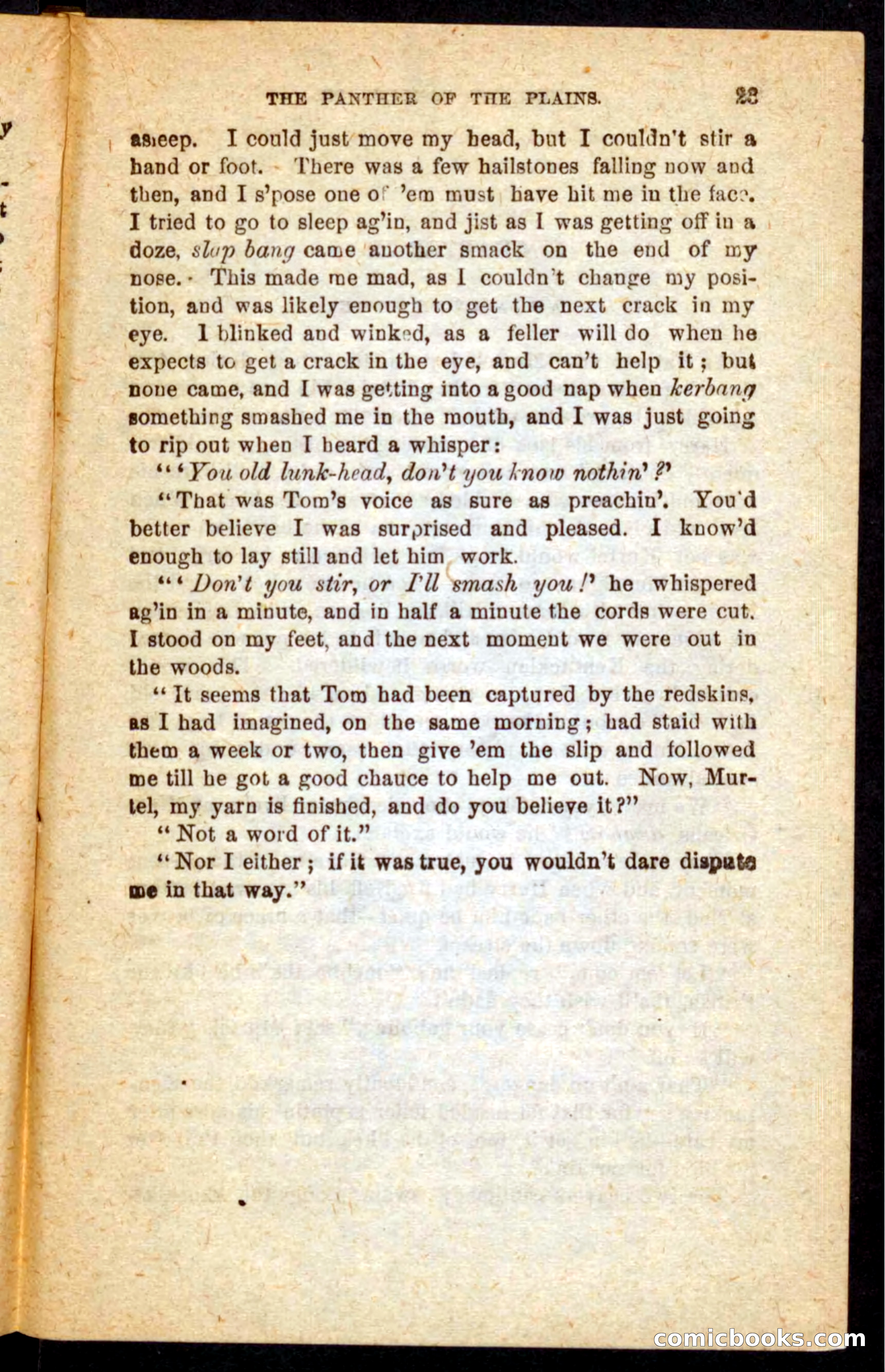 The White Tracker — page 19 of 100