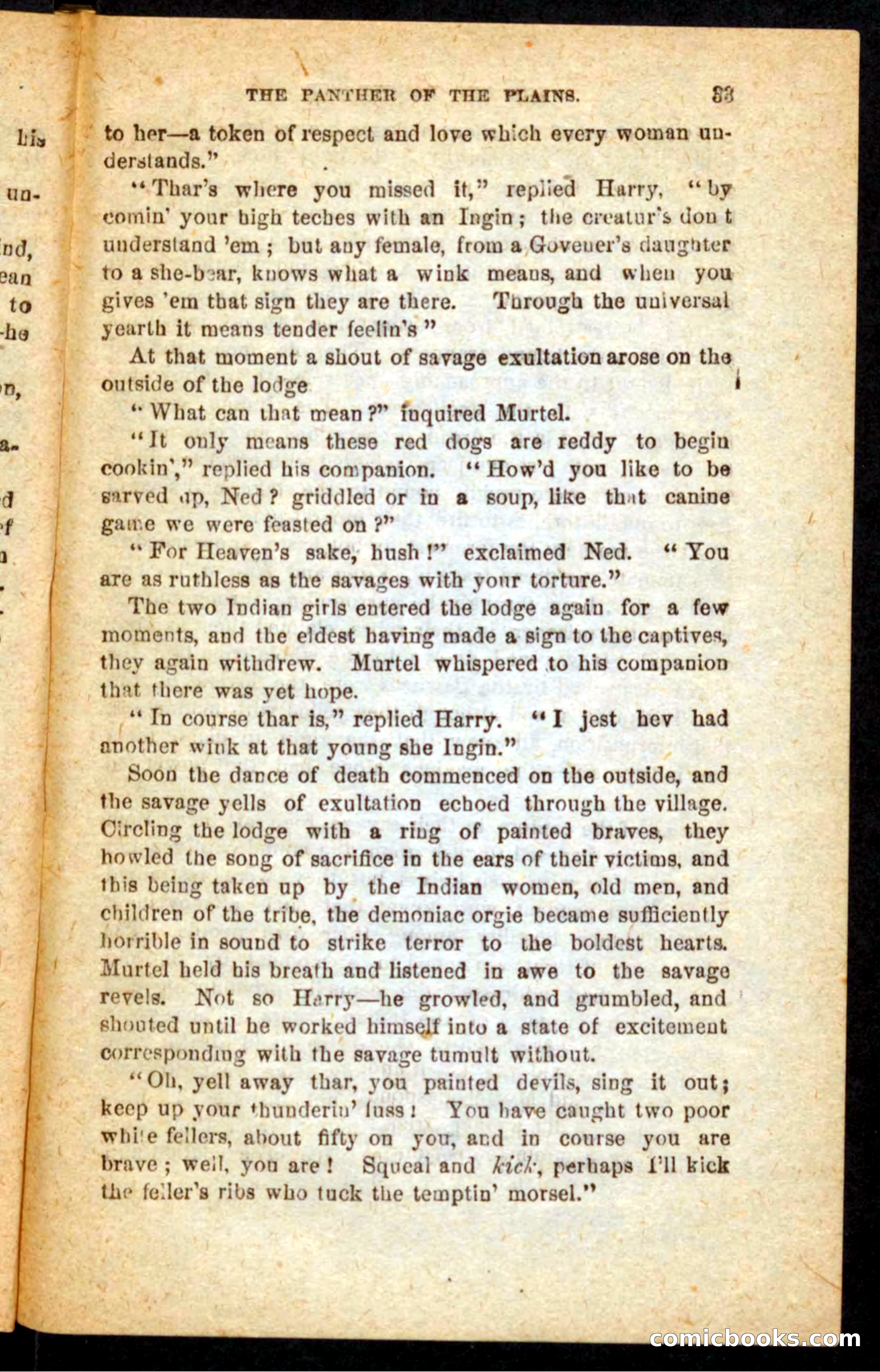 The White Tracker — page 29 of 100