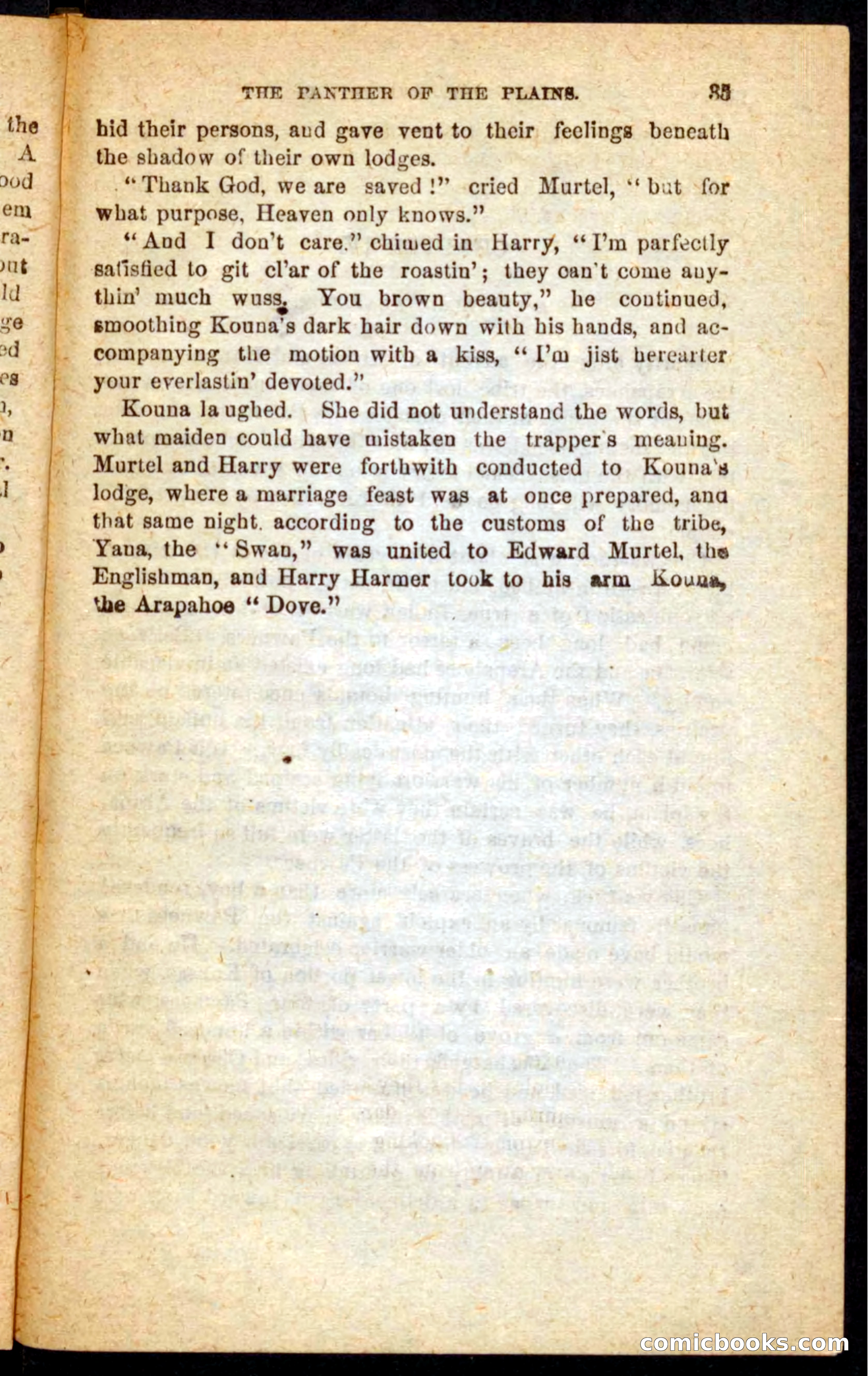 The White Tracker — page 31 of 100