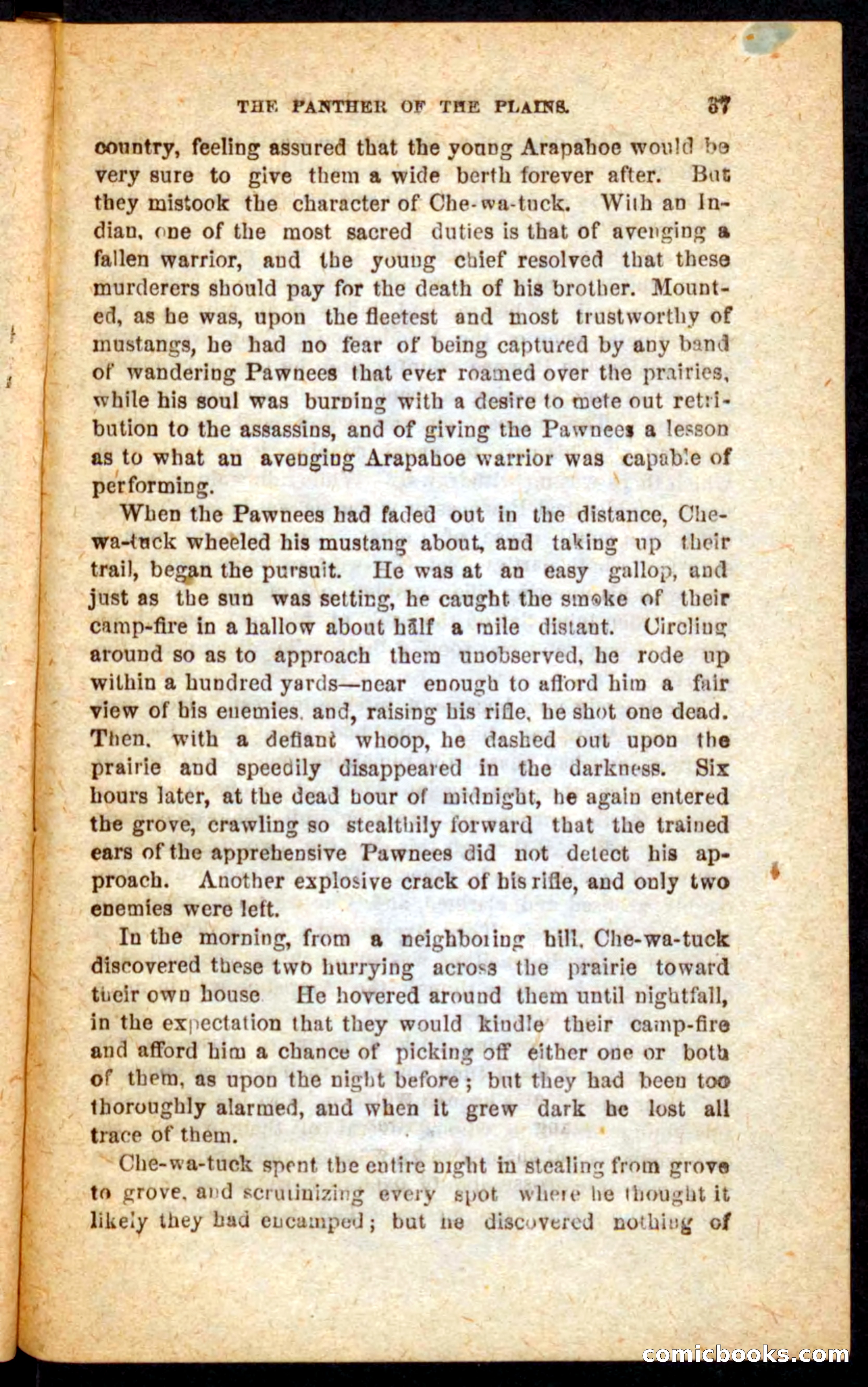The White Tracker — page 33 of 100