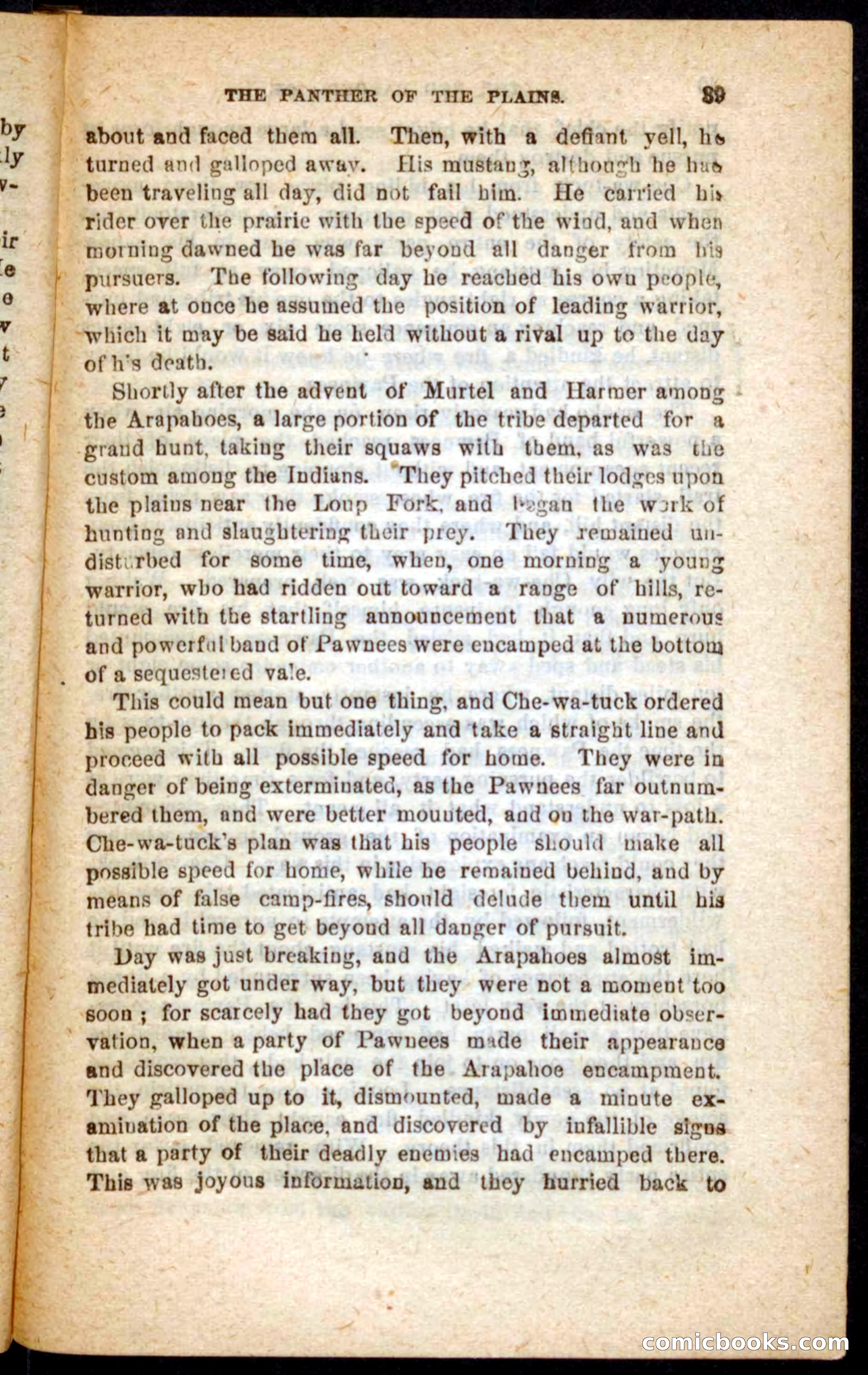 The White Tracker — page 35 of 100
