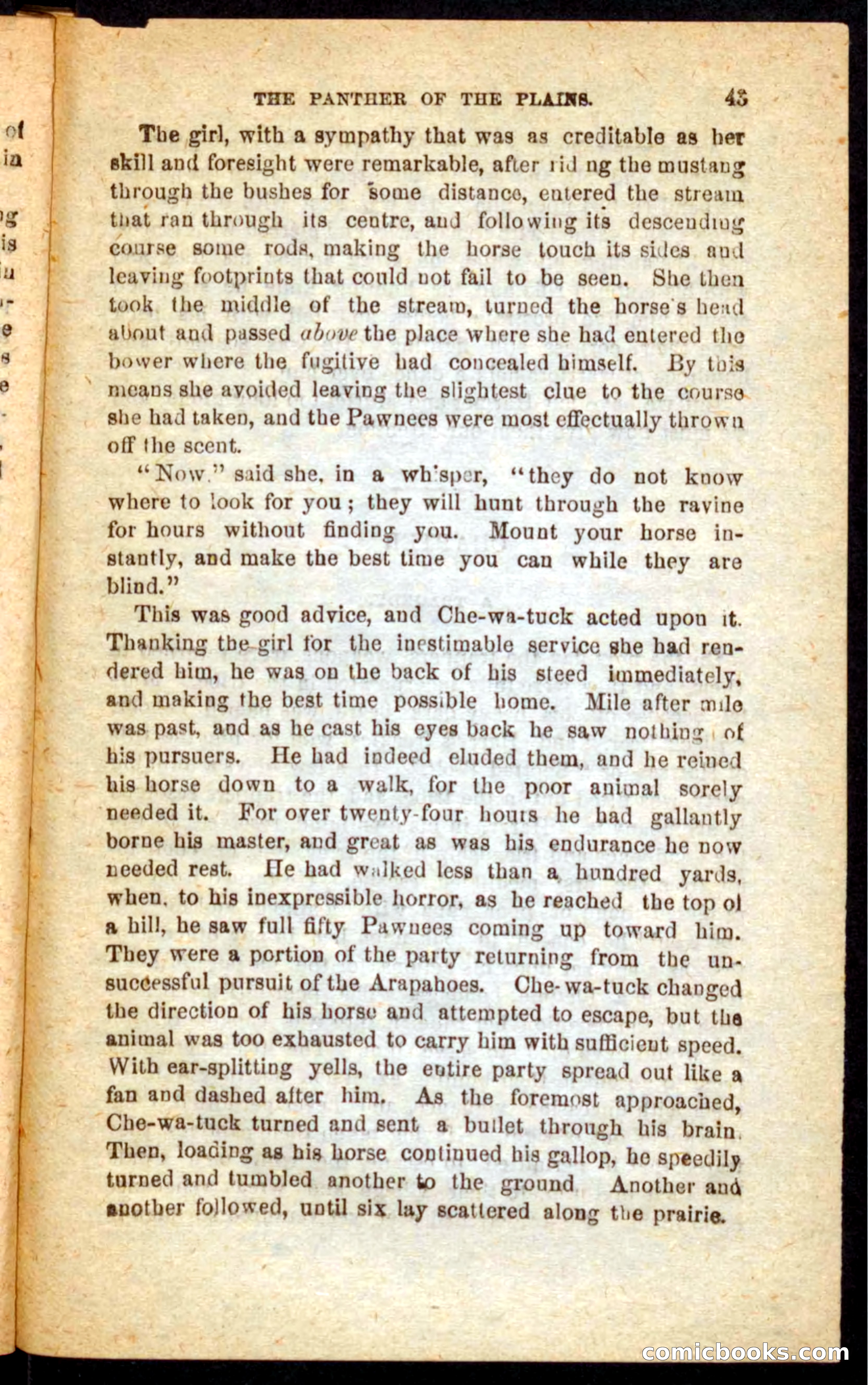 The White Tracker — page 39 of 100