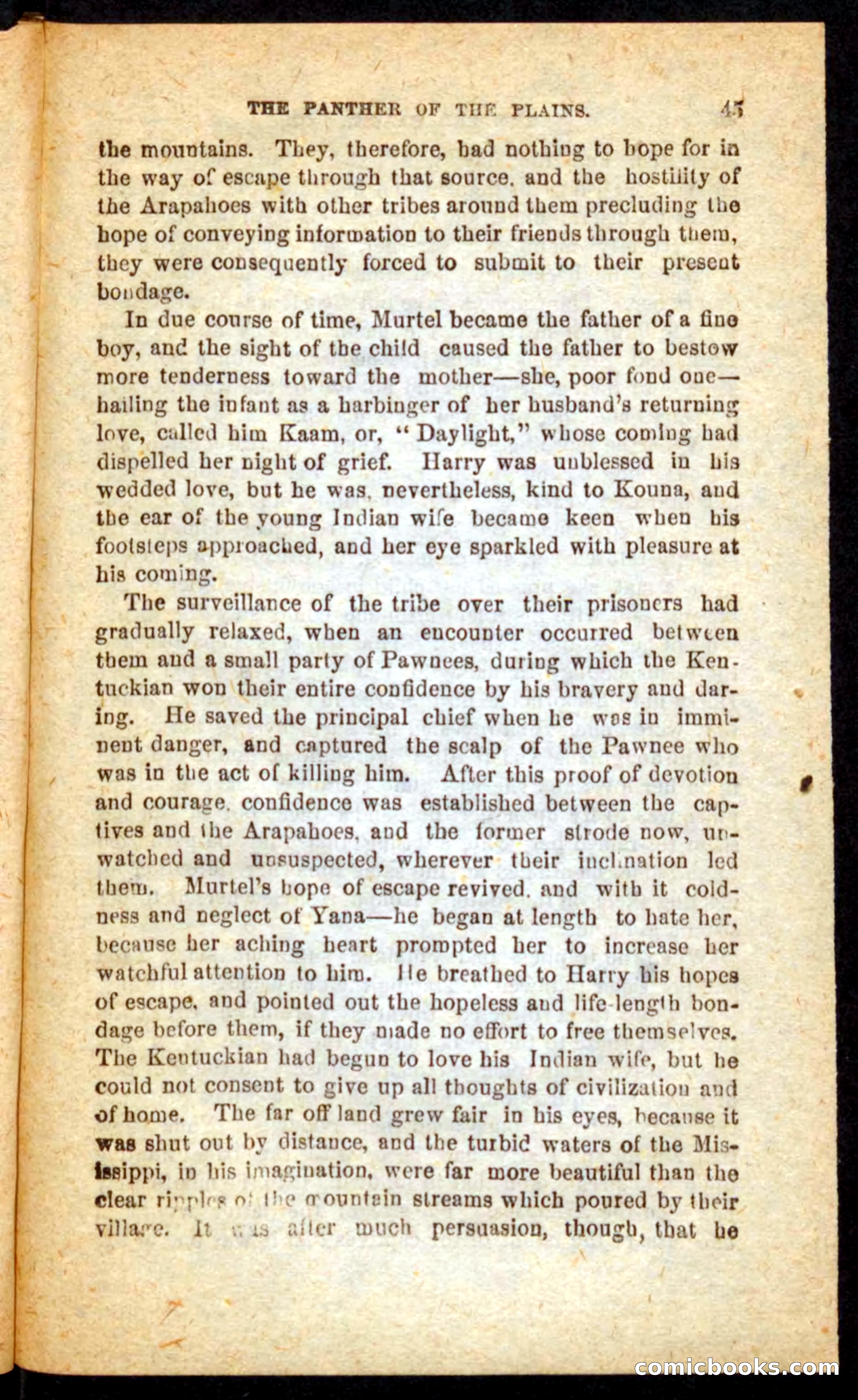 The White Tracker — page 41 of 100