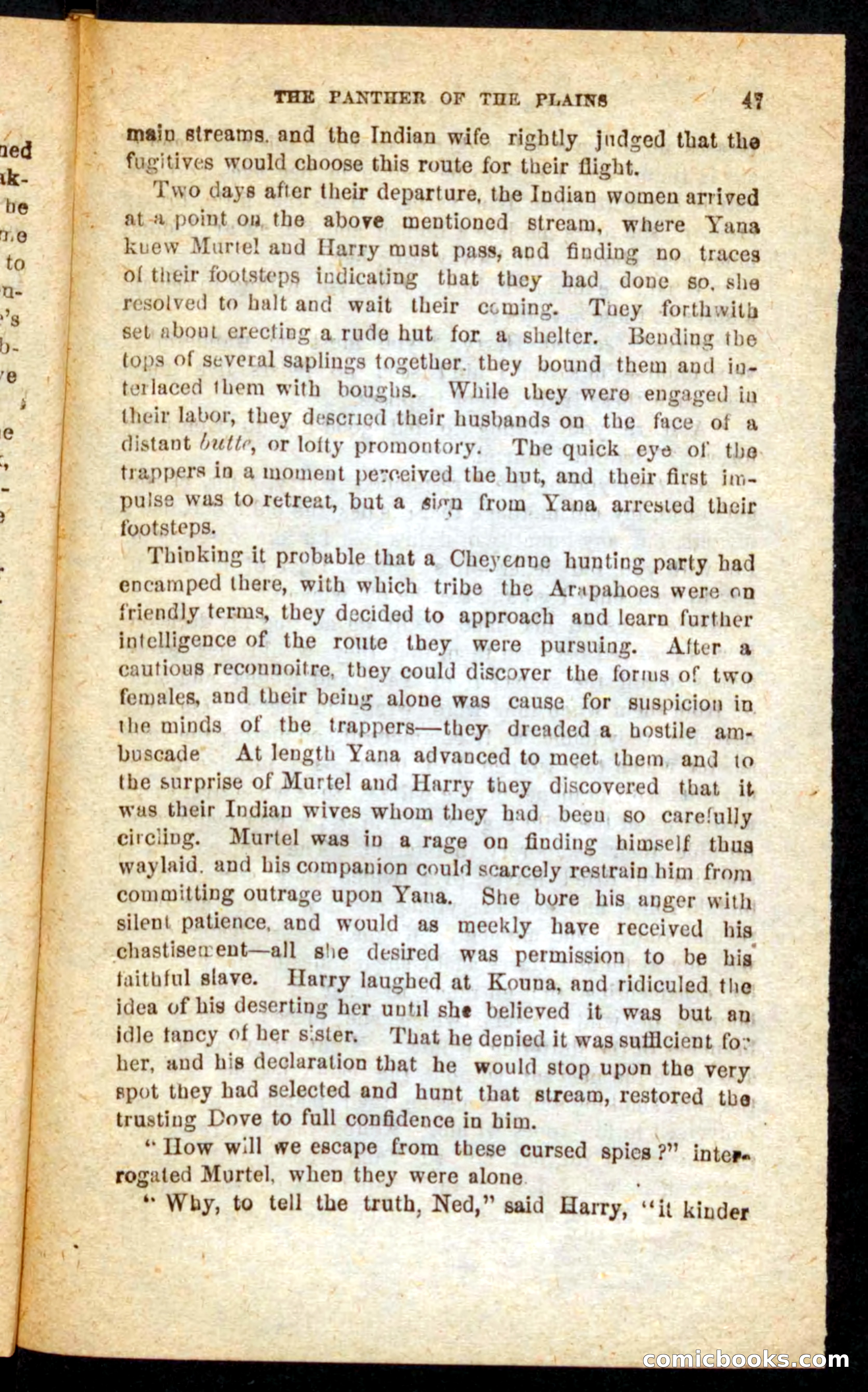 The White Tracker — page 43 of 100