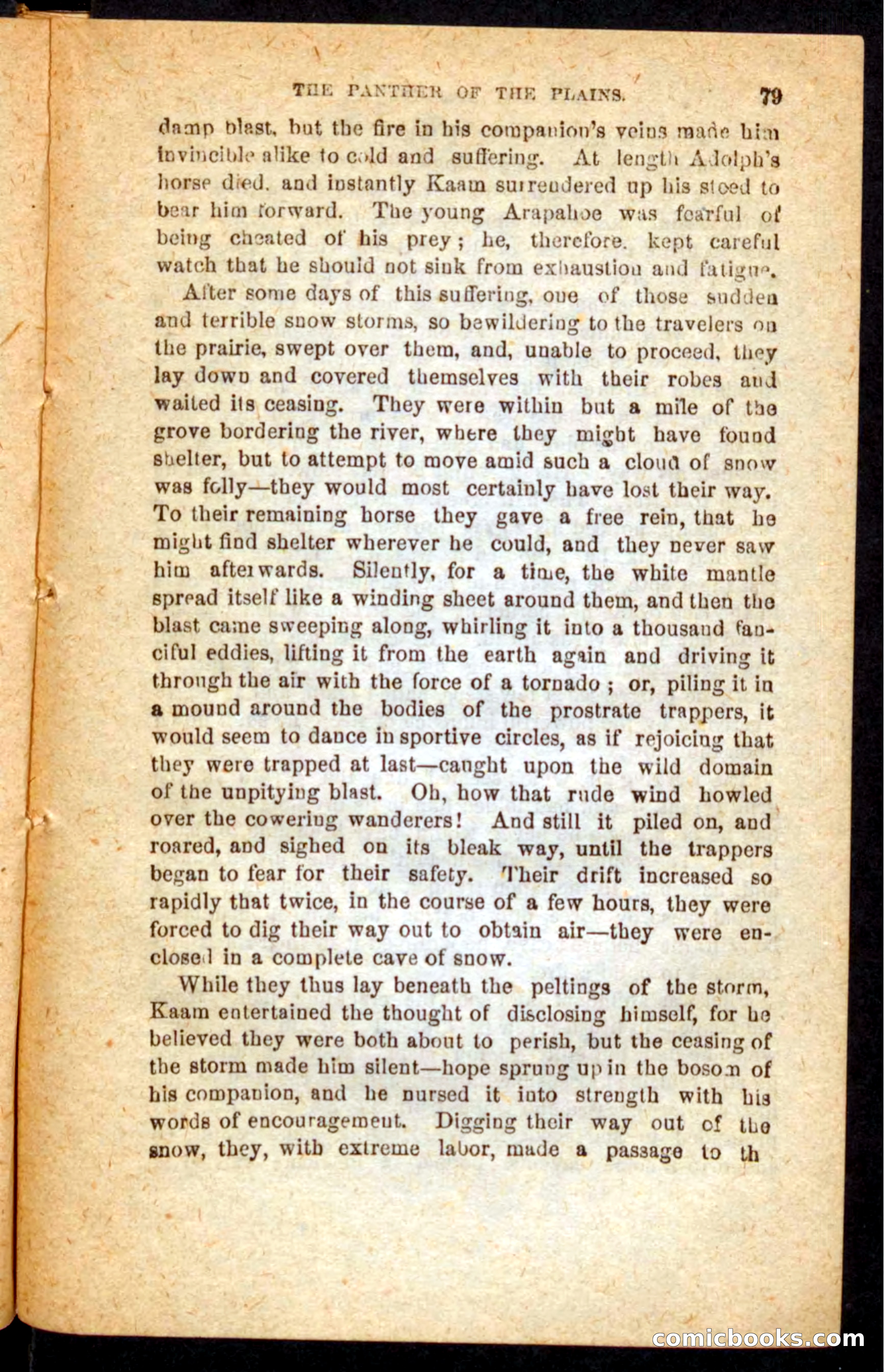 The White Tracker — page 75 of 100