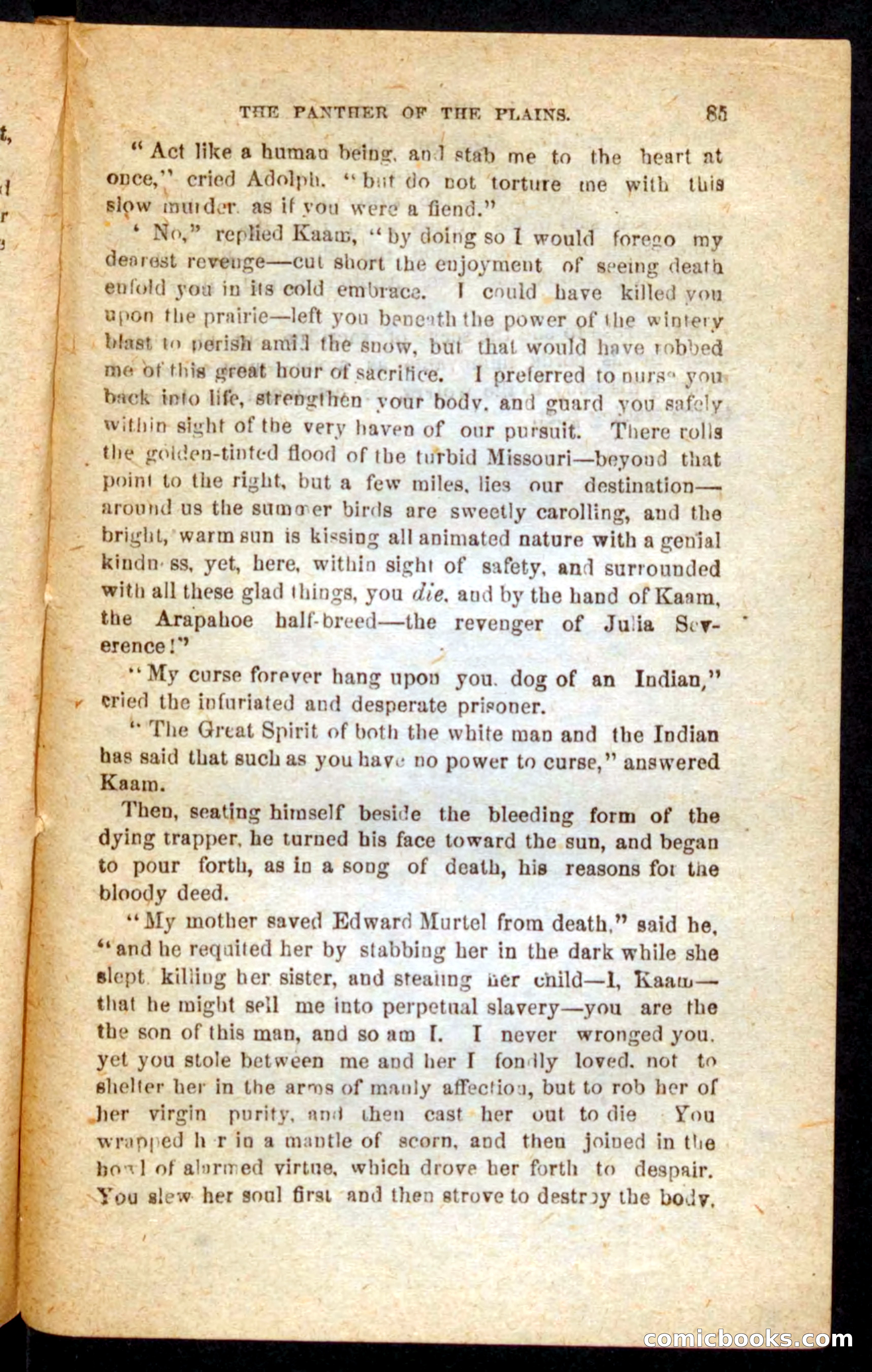 The White Tracker — page 81 of 100