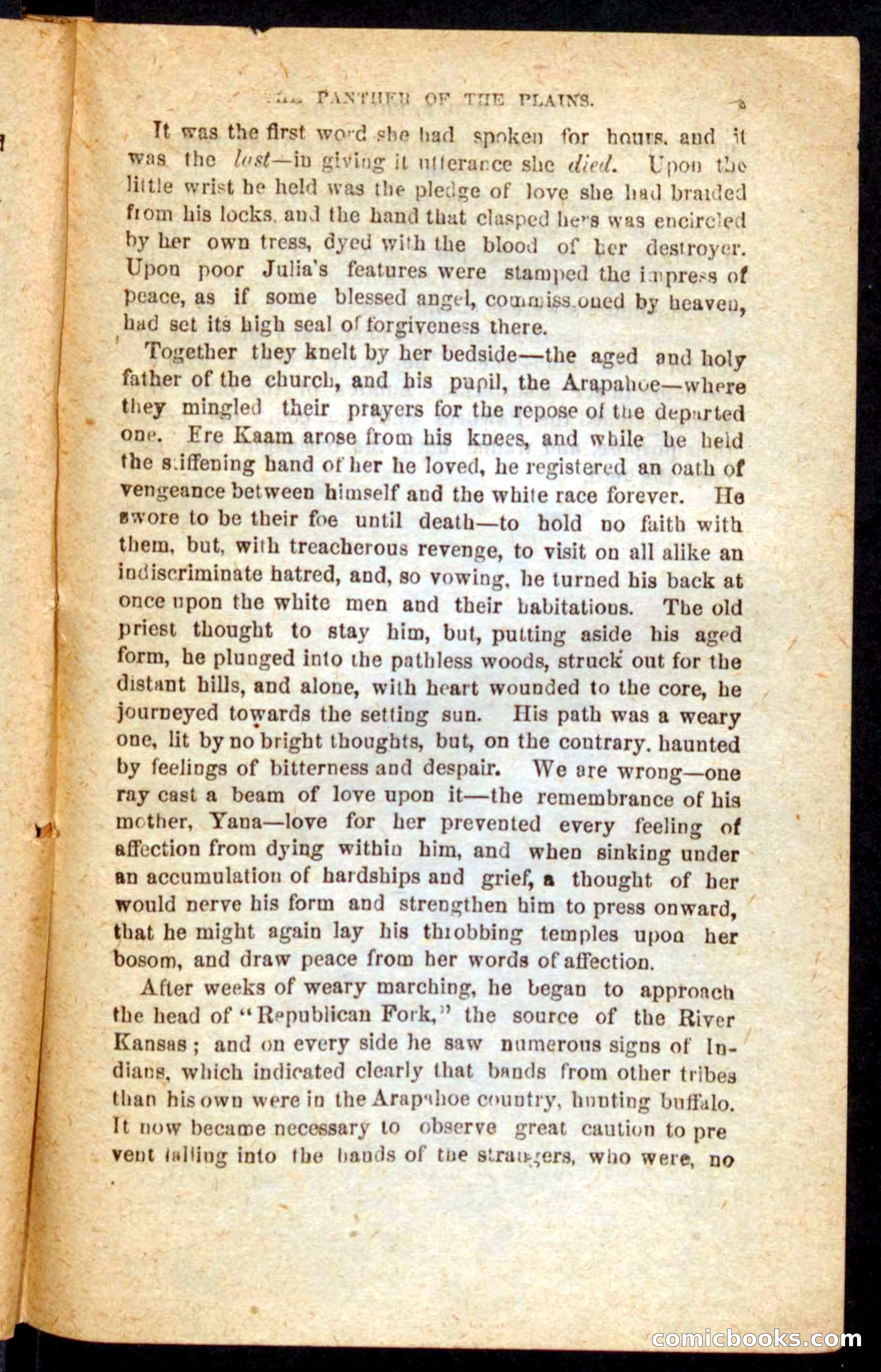 The White Tracker — page 85 of 100