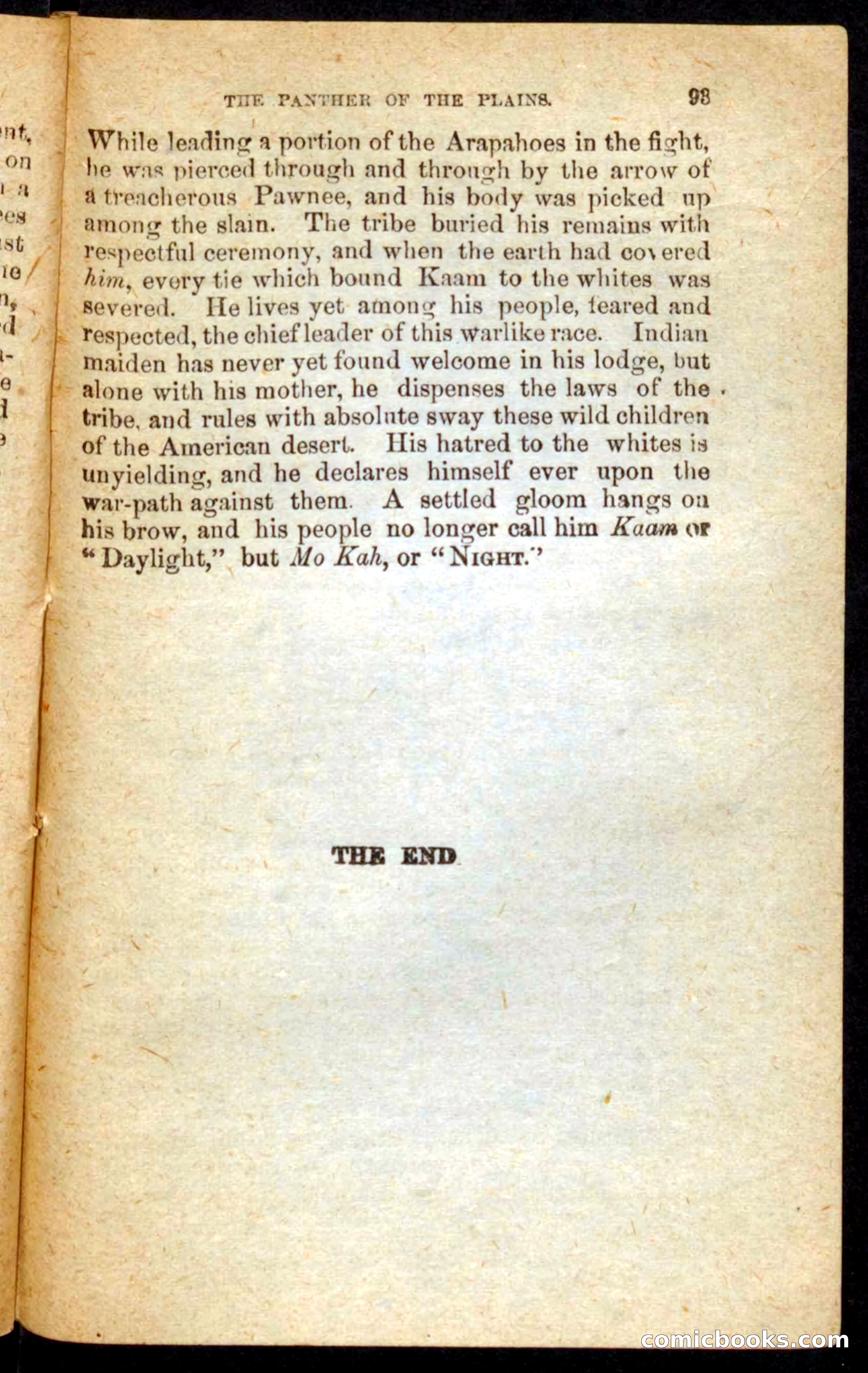 The White Tracker — page 89 of 100
