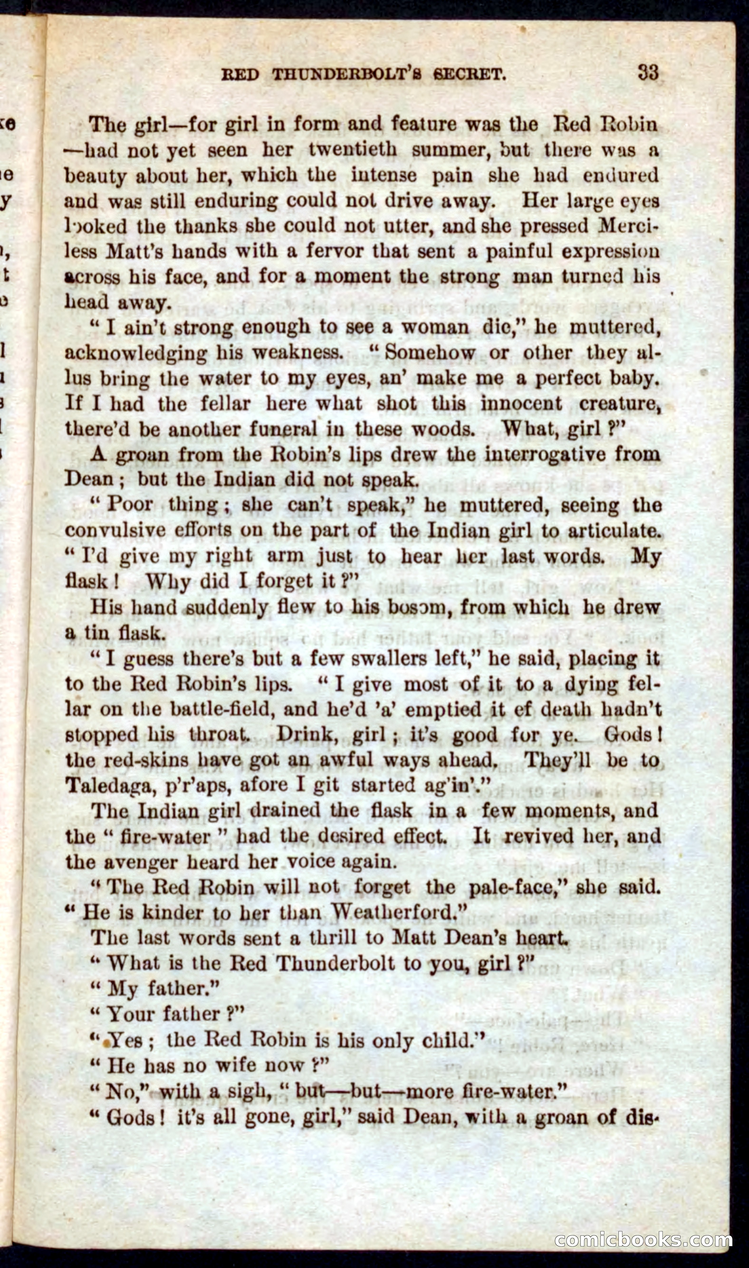 Beadle's Pocket Novels No. 60: Merciless Matt — page 29 of 100