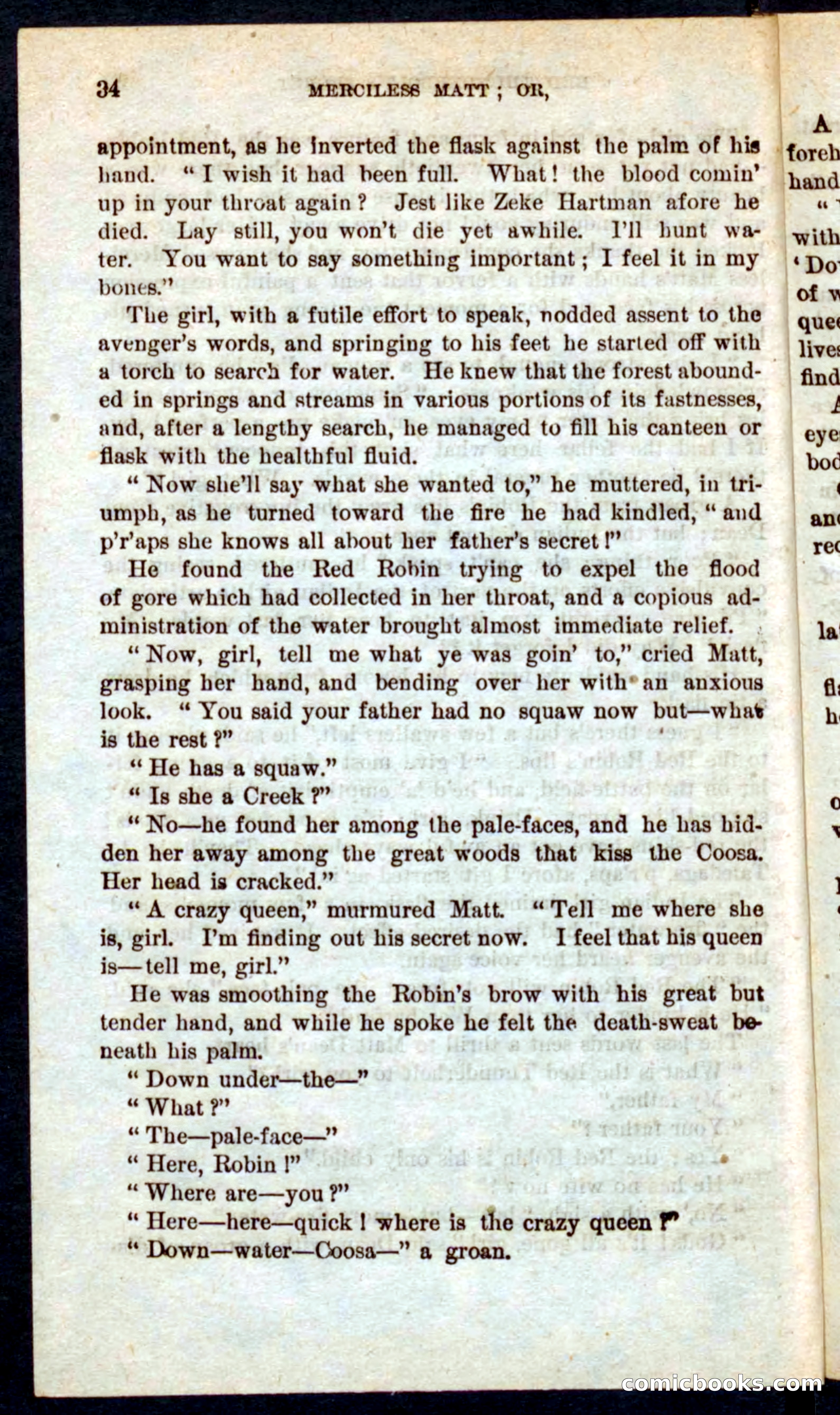 Beadle's Pocket Novels No. 60: Merciless Matt — page 30 of 100