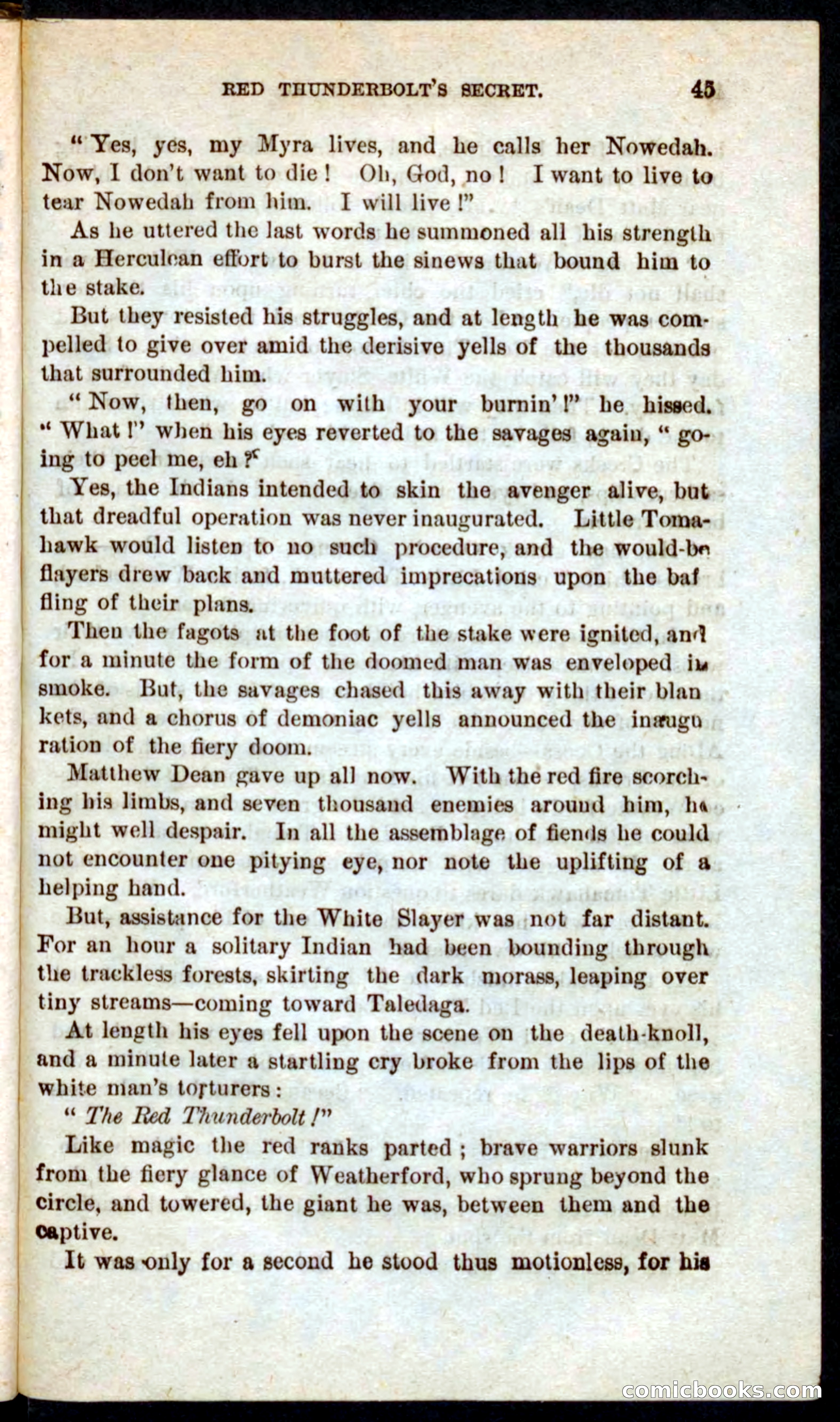Beadle's Pocket Novels No. 60: Merciless Matt — page 41 of 100