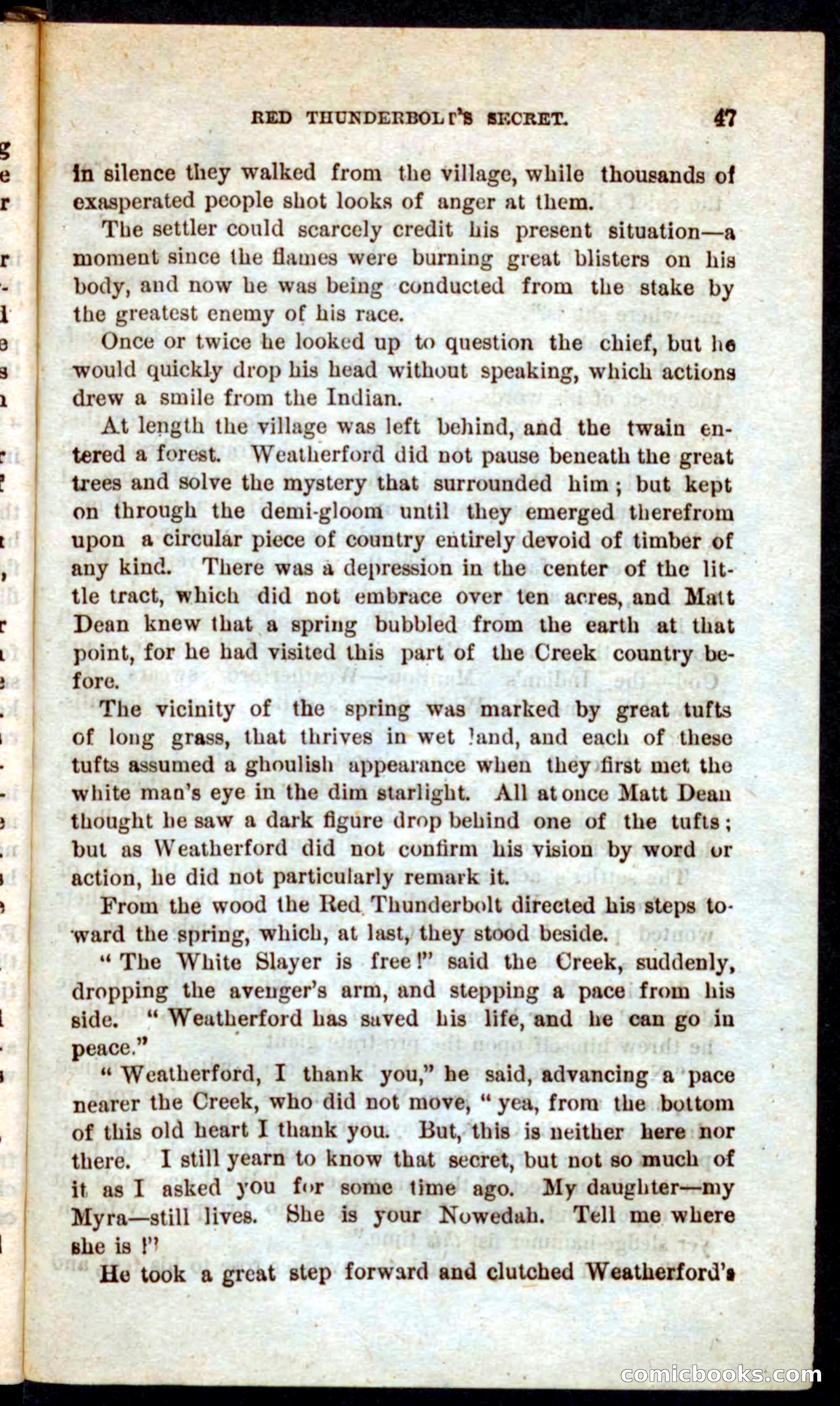 Beadle's Pocket Novels No. 60: Merciless Matt — page 43 of 100