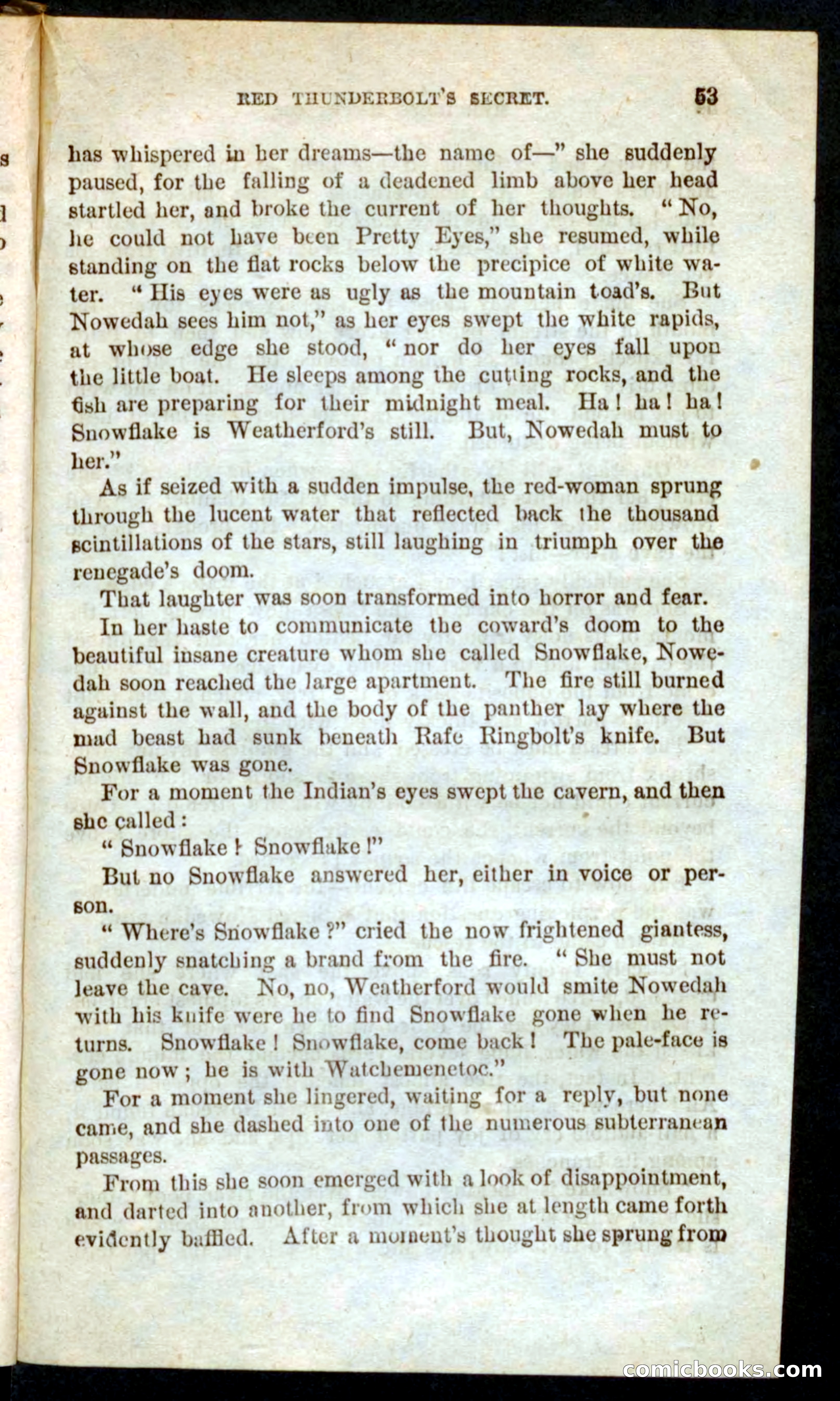 Beadle's Pocket Novels No. 60: Merciless Matt — page 49 of 100