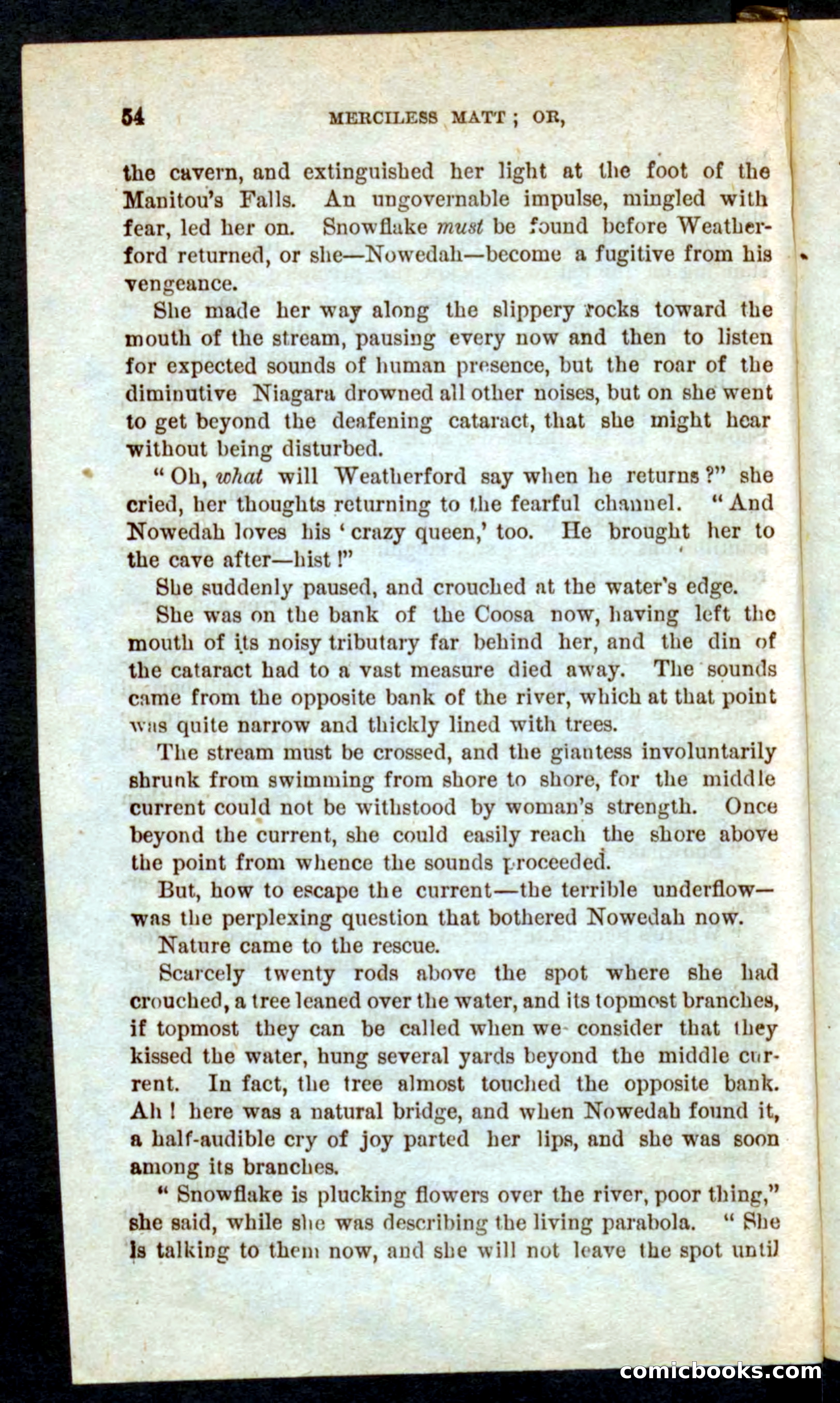Beadle's Pocket Novels No. 60: Merciless Matt — page 50 of 100