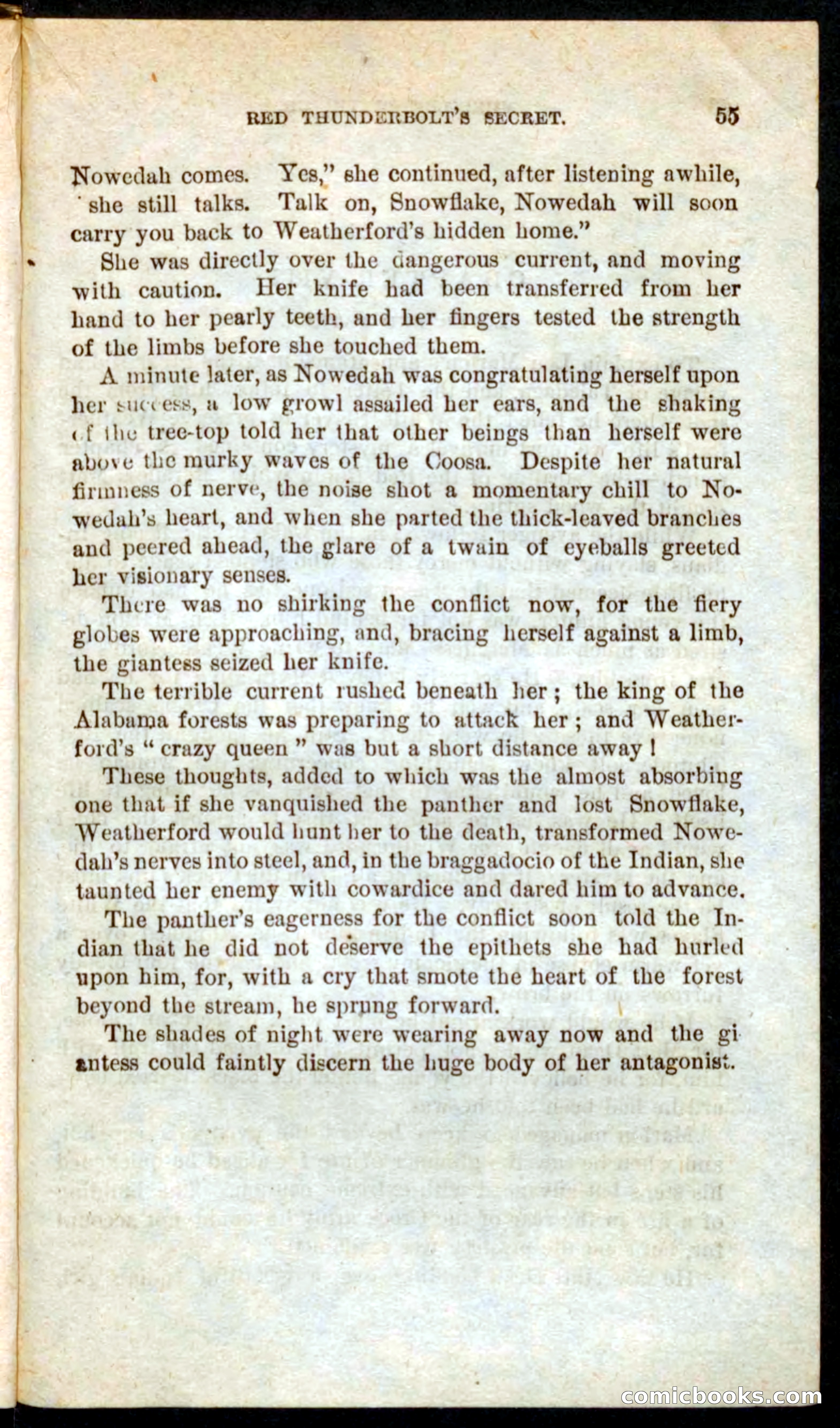 Beadle's Pocket Novels No. 60: Merciless Matt — page 51 of 100