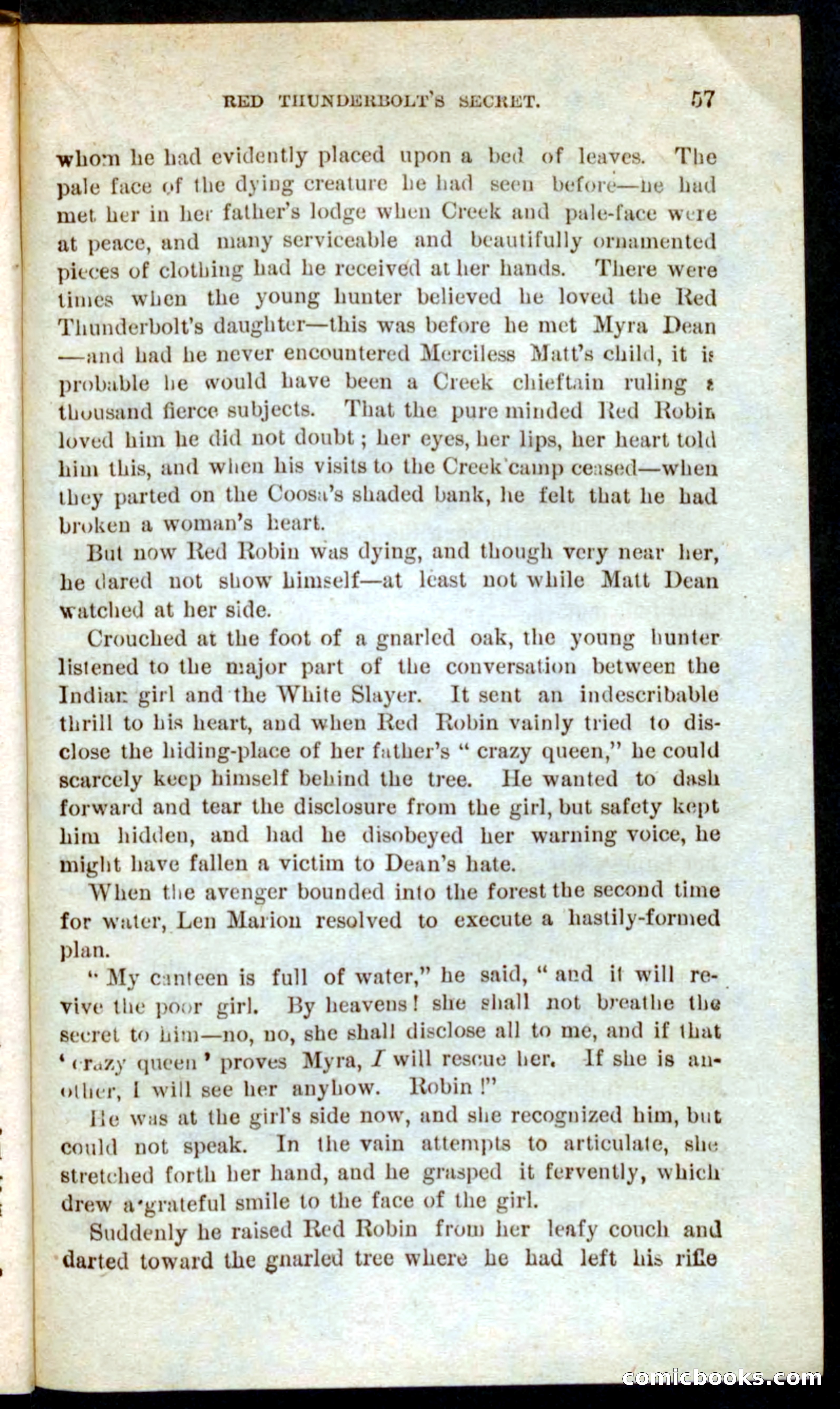 Beadle's Pocket Novels No. 60: Merciless Matt — page 53 of 100