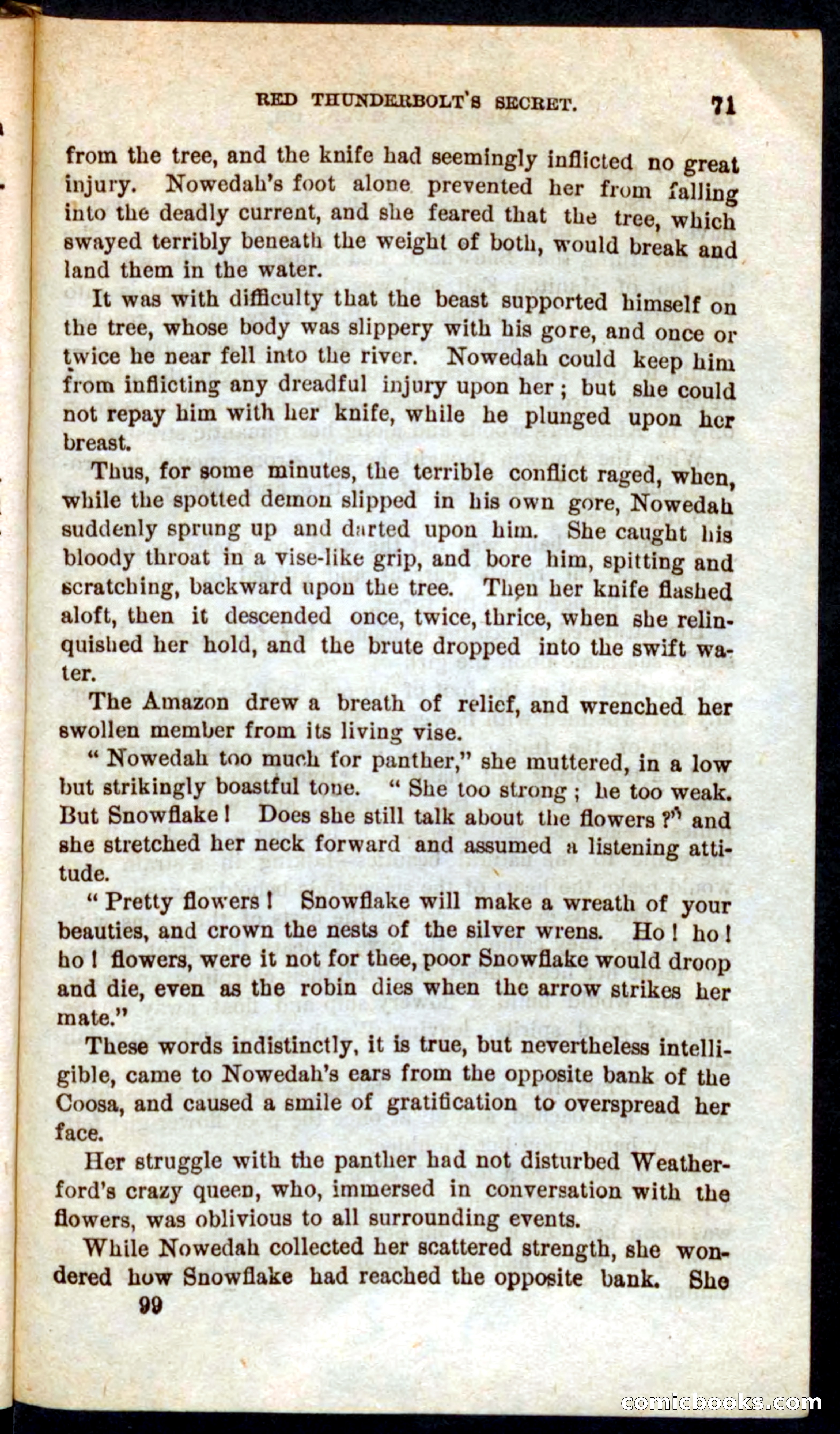 Beadle's Pocket Novels No. 60: Merciless Matt — page 67 of 100