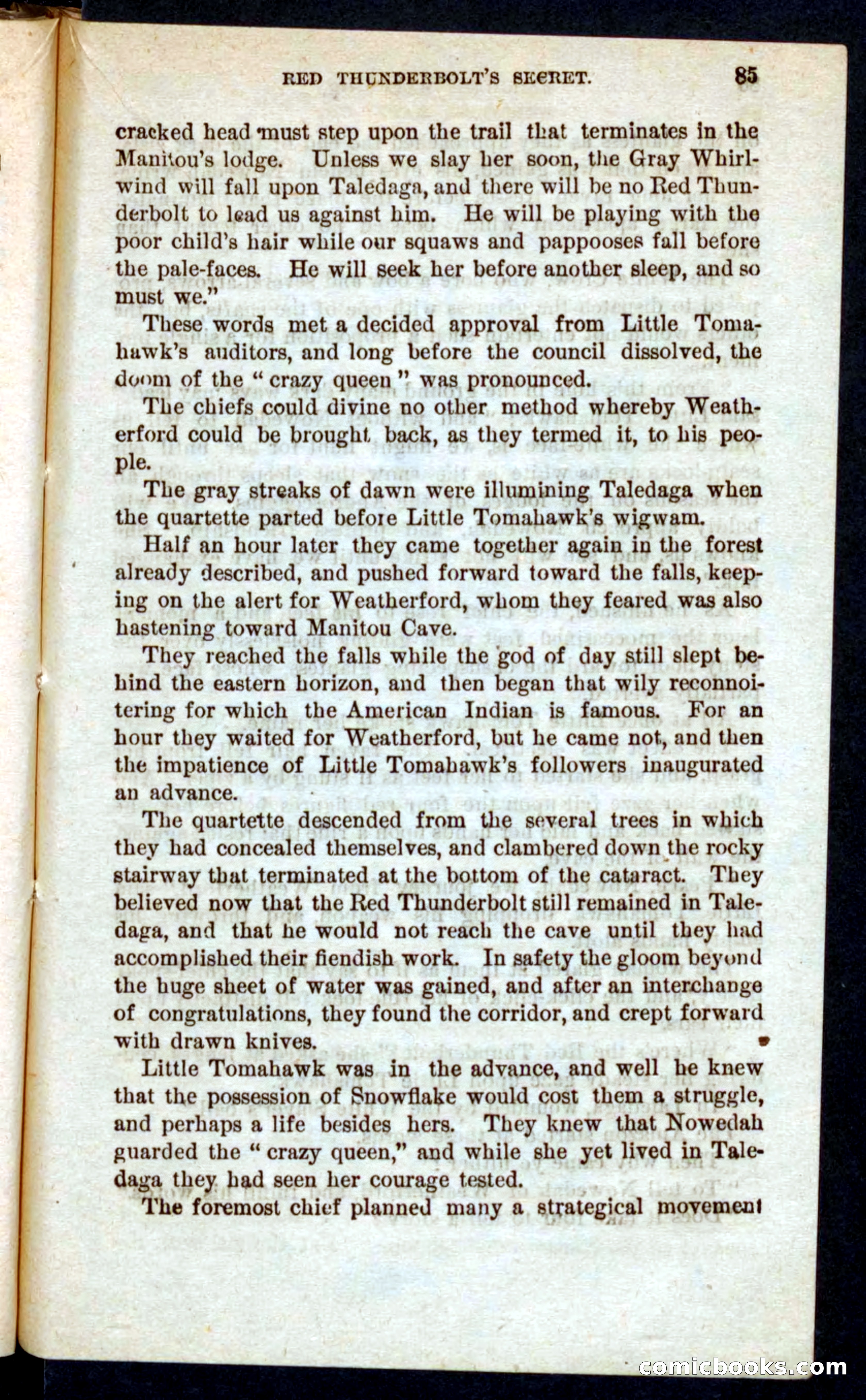 Beadle's Pocket Novels No. 60: Merciless Matt — page 81 of 100