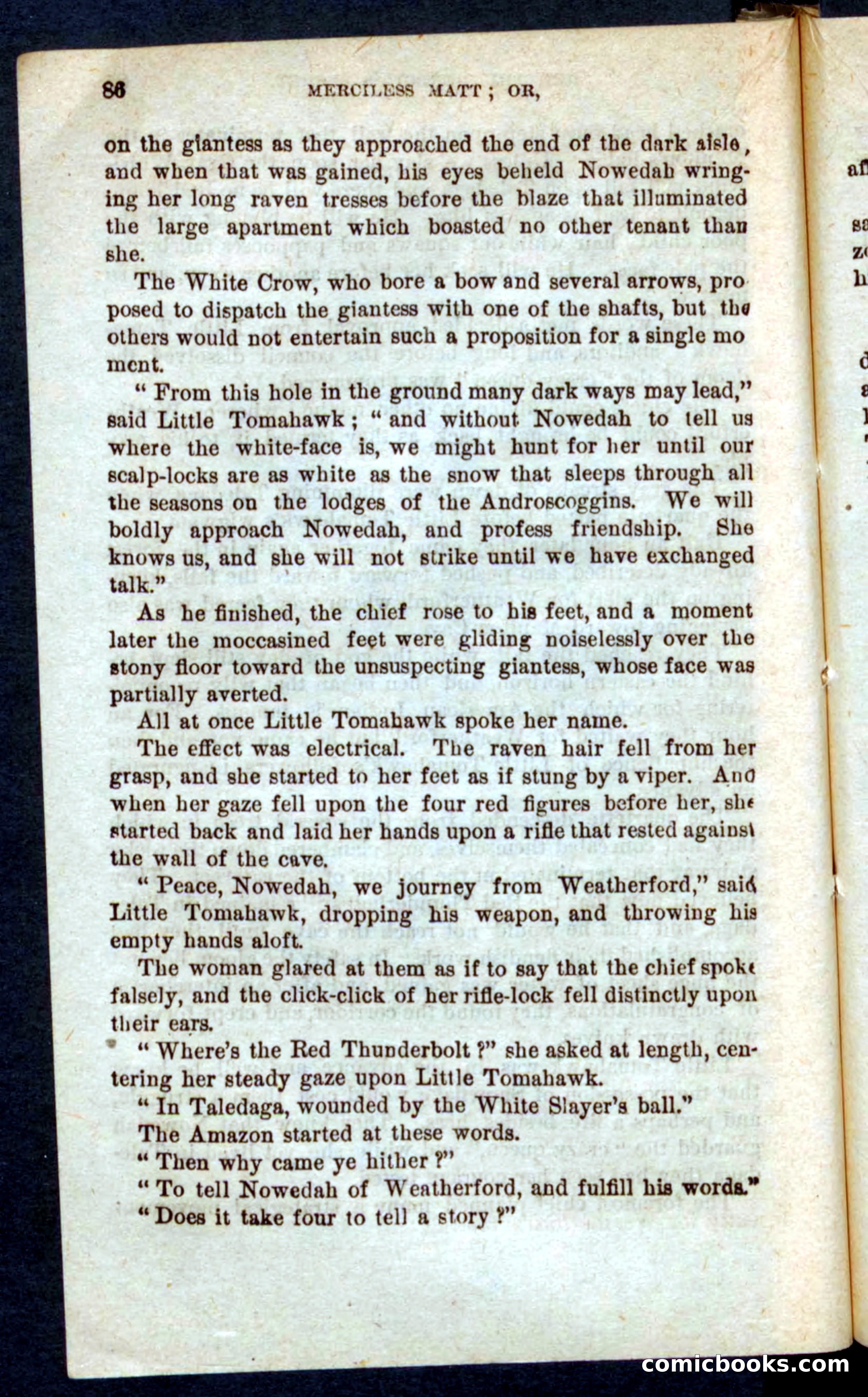 Beadle's Pocket Novels No. 60: Merciless Matt — page 82 of 100