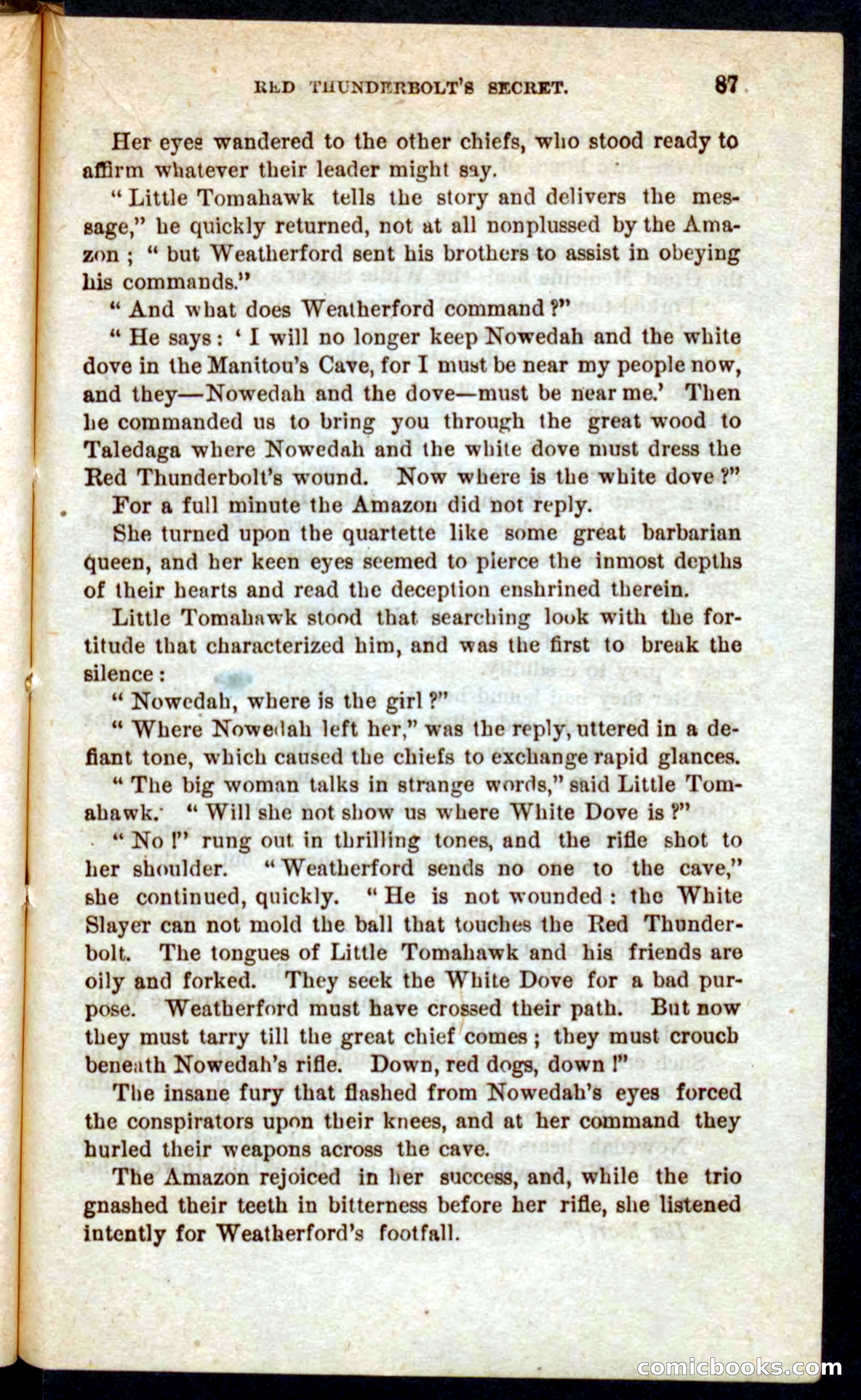Beadle's Pocket Novels No. 60: Merciless Matt — page 83 of 100