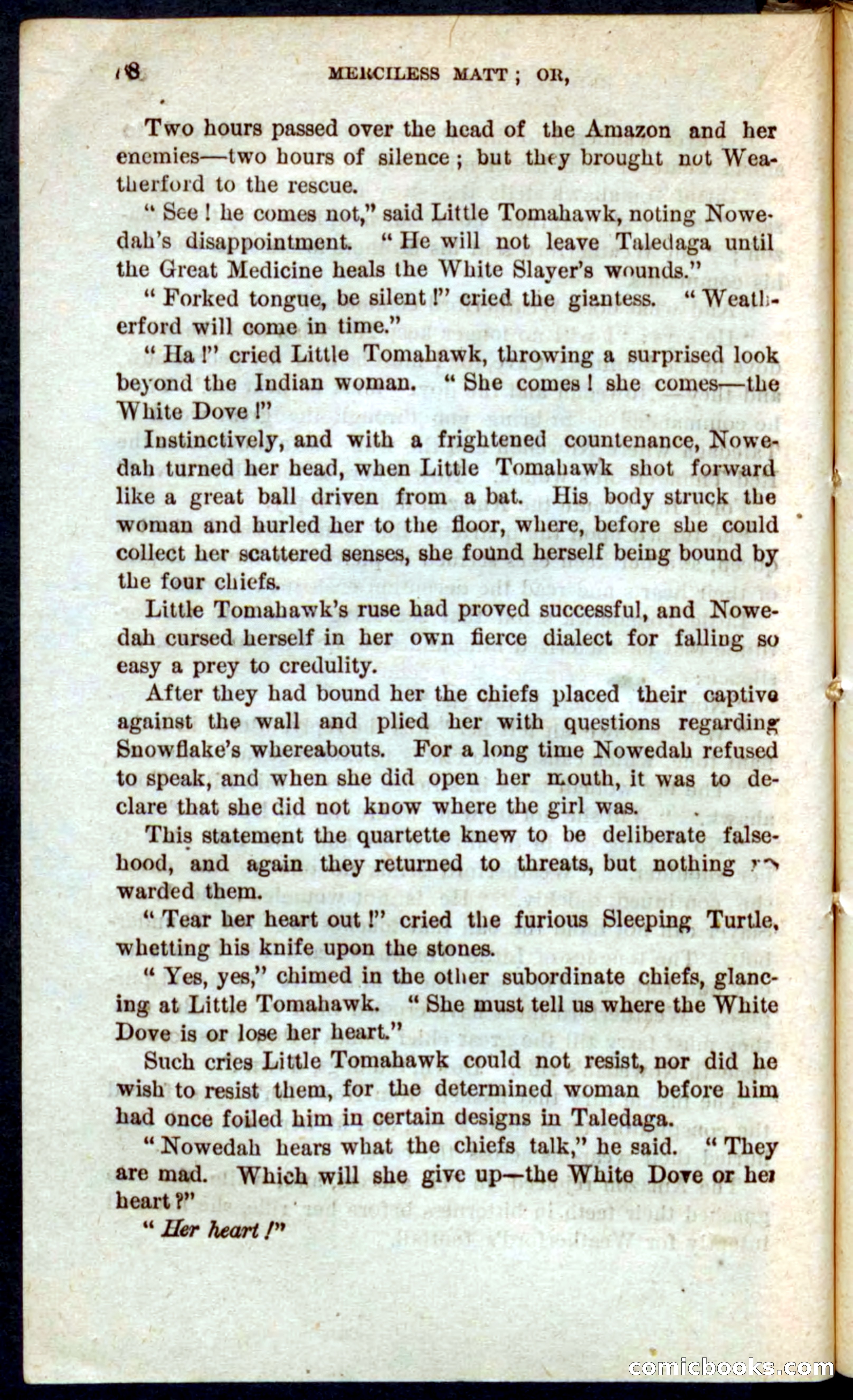 Beadle's Pocket Novels No. 60: Merciless Matt — page 84 of 100
