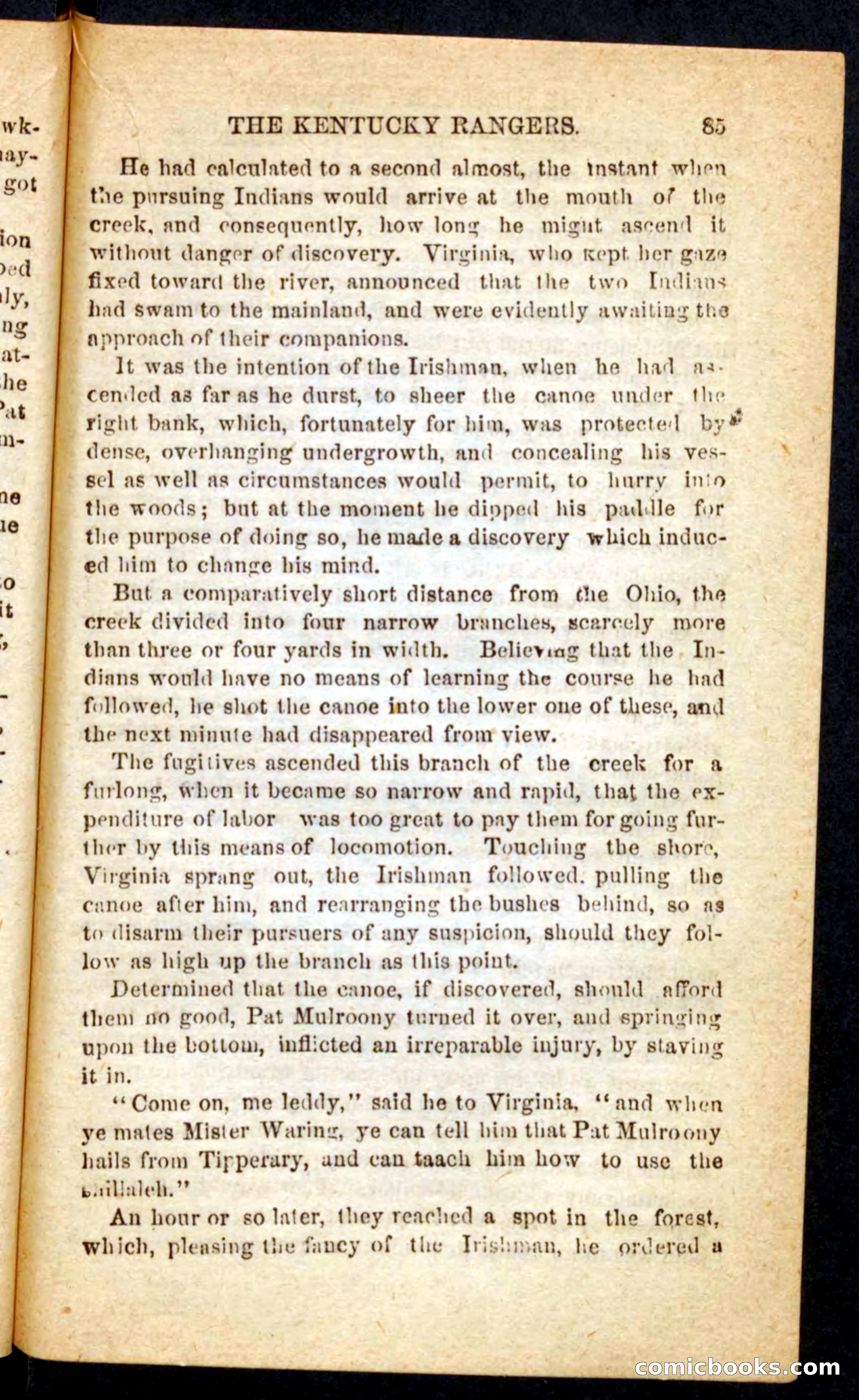 Beadle's Pocket Novels: Mad Anthony's Scouts — page 81 of 100
