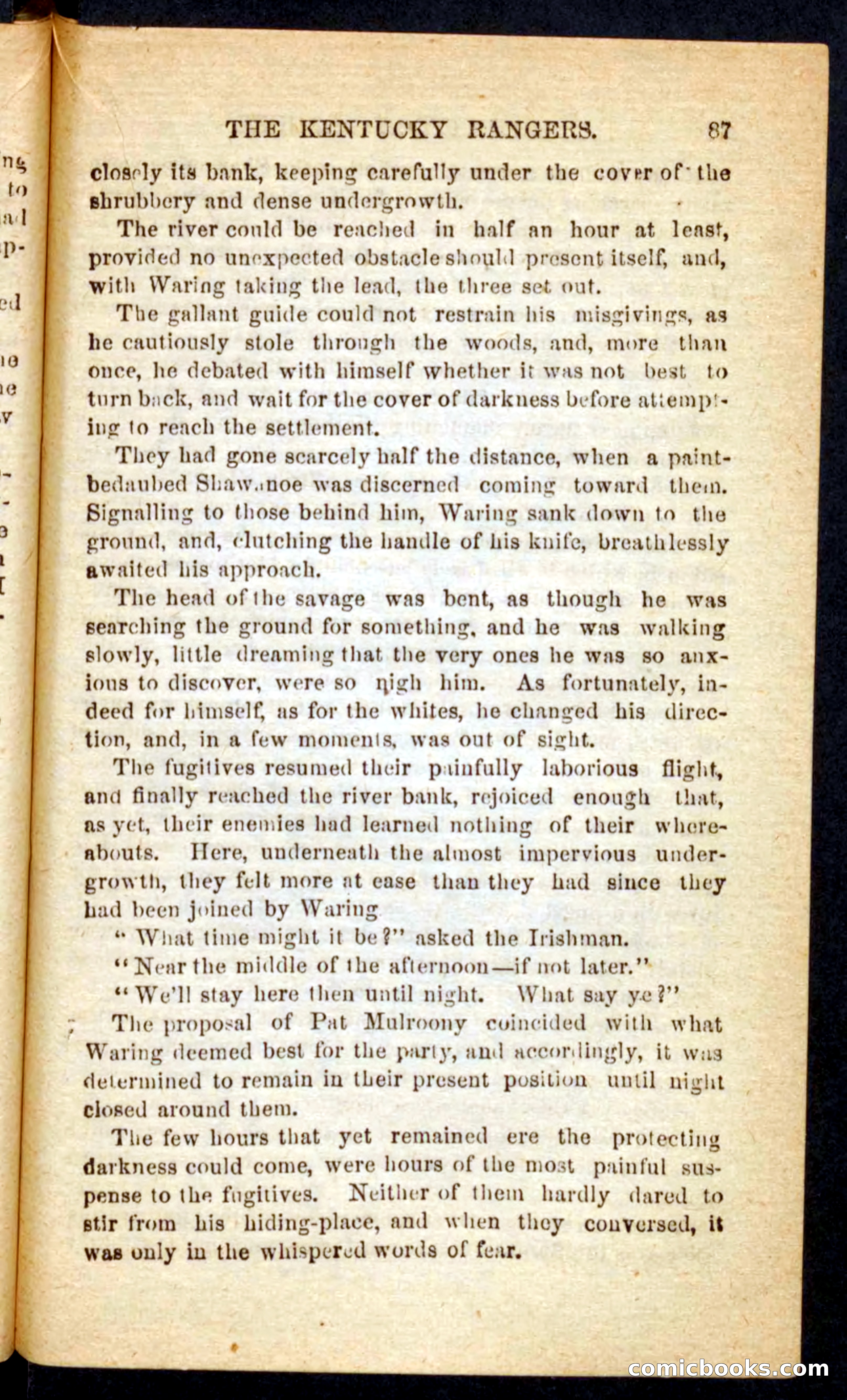 Beadle's Pocket Novels: Mad Anthony's Scouts — page 83 of 100