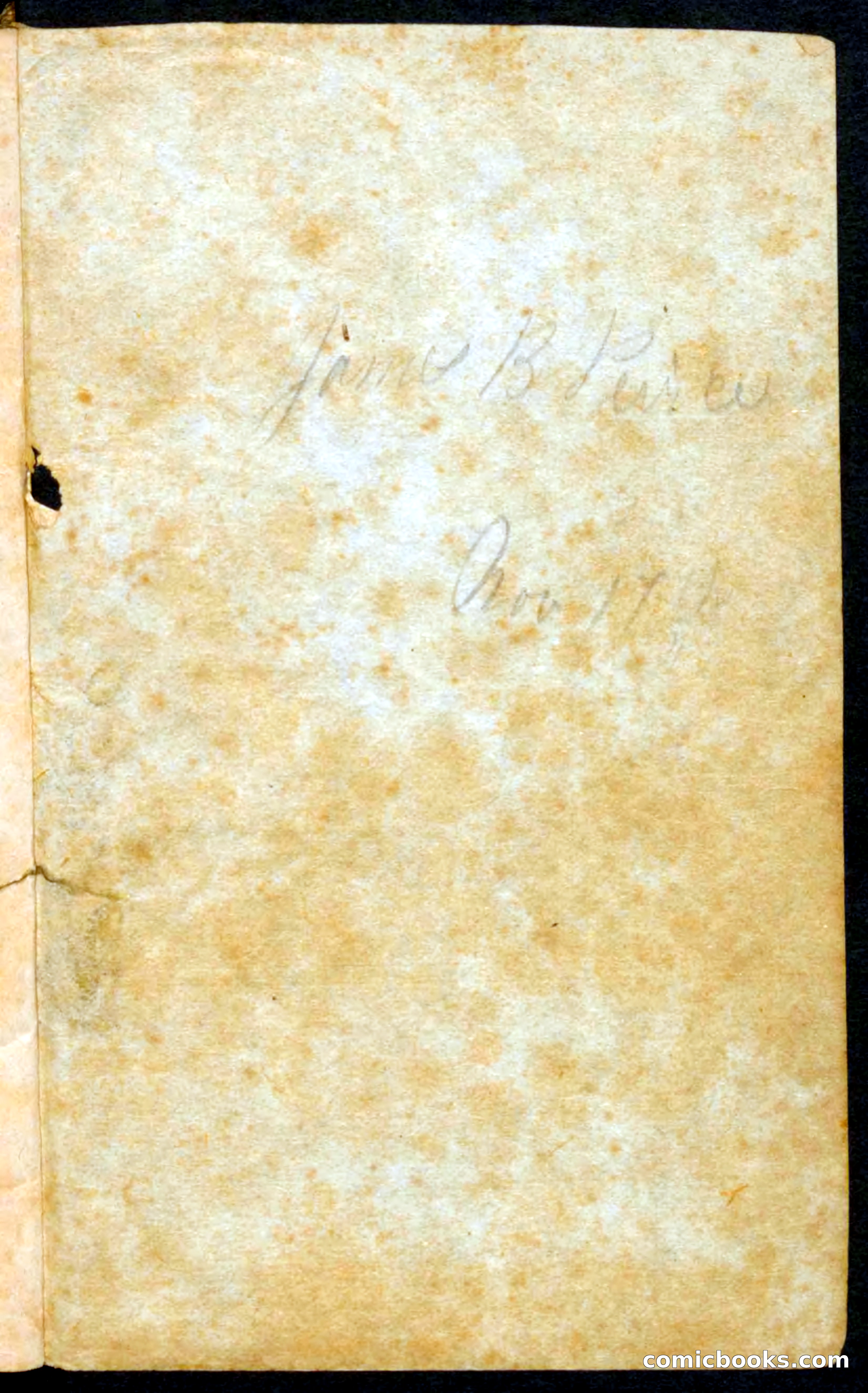Beadle's Pocket Novels No. 62: The Luckless Trapper — page 3 of 100