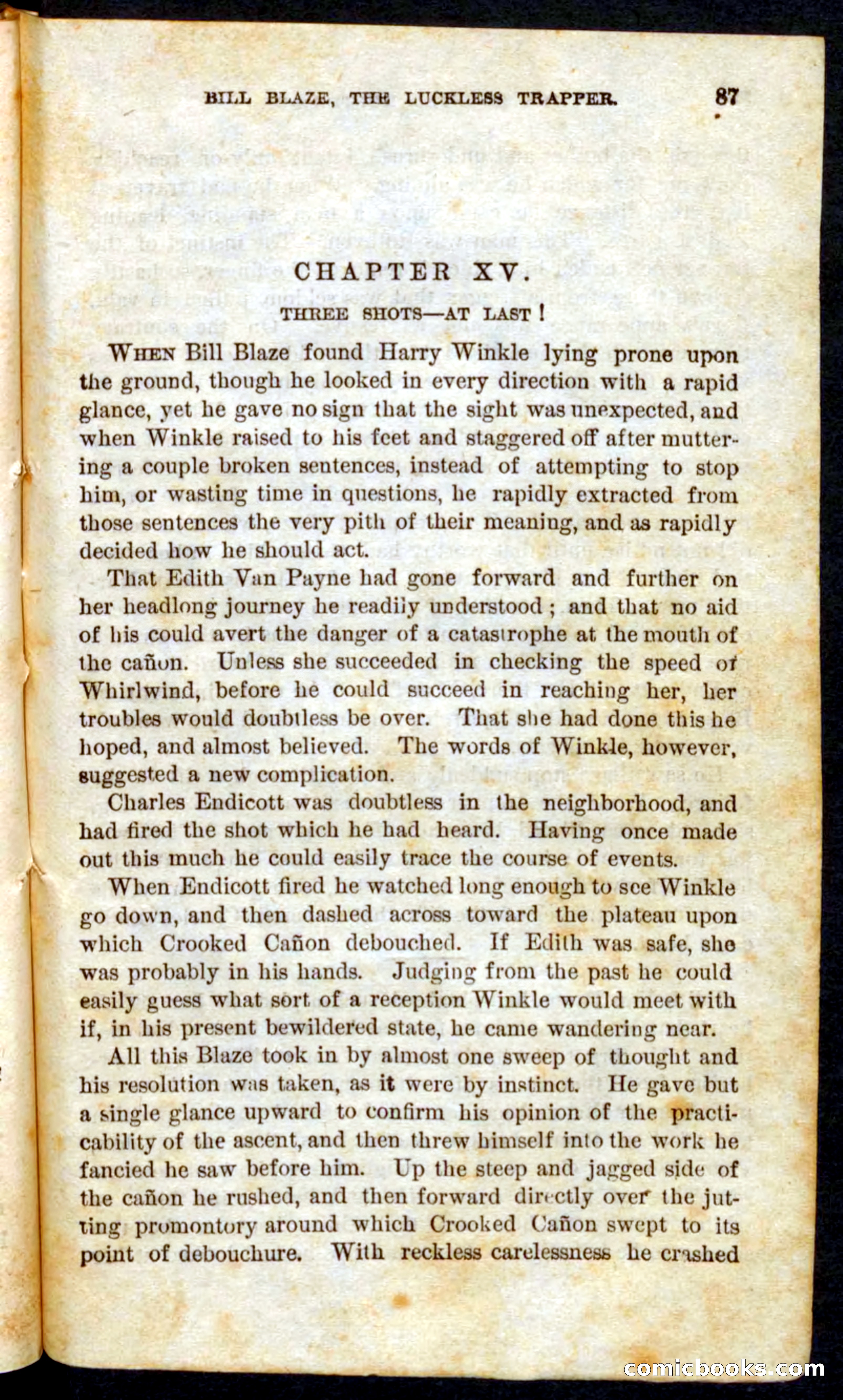 Beadle's Pocket Novels No. 62: The Luckless Trapper — page 85 of 100