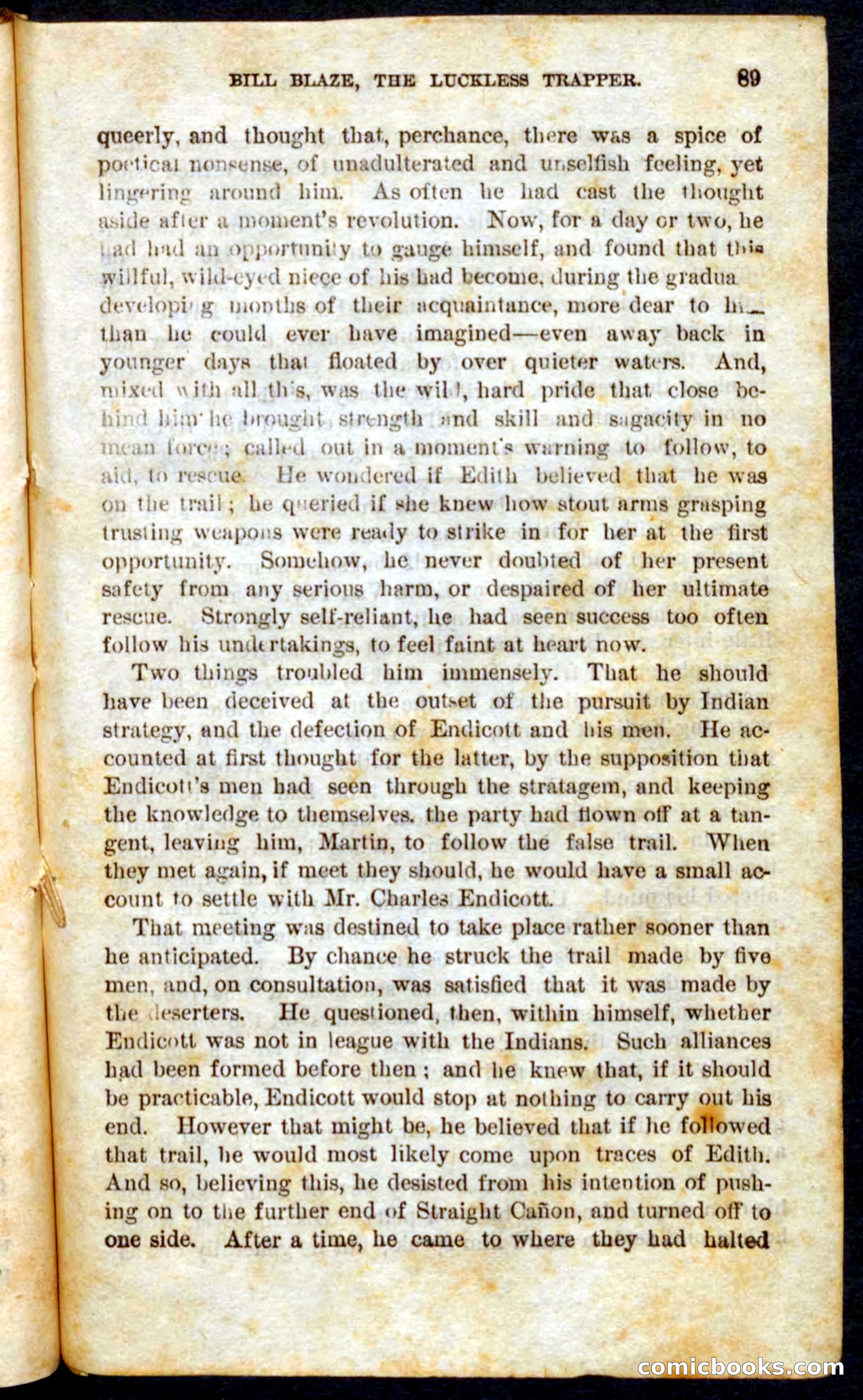 Beadle's Pocket Novels No. 62: The Luckless Trapper — page 87 of 100