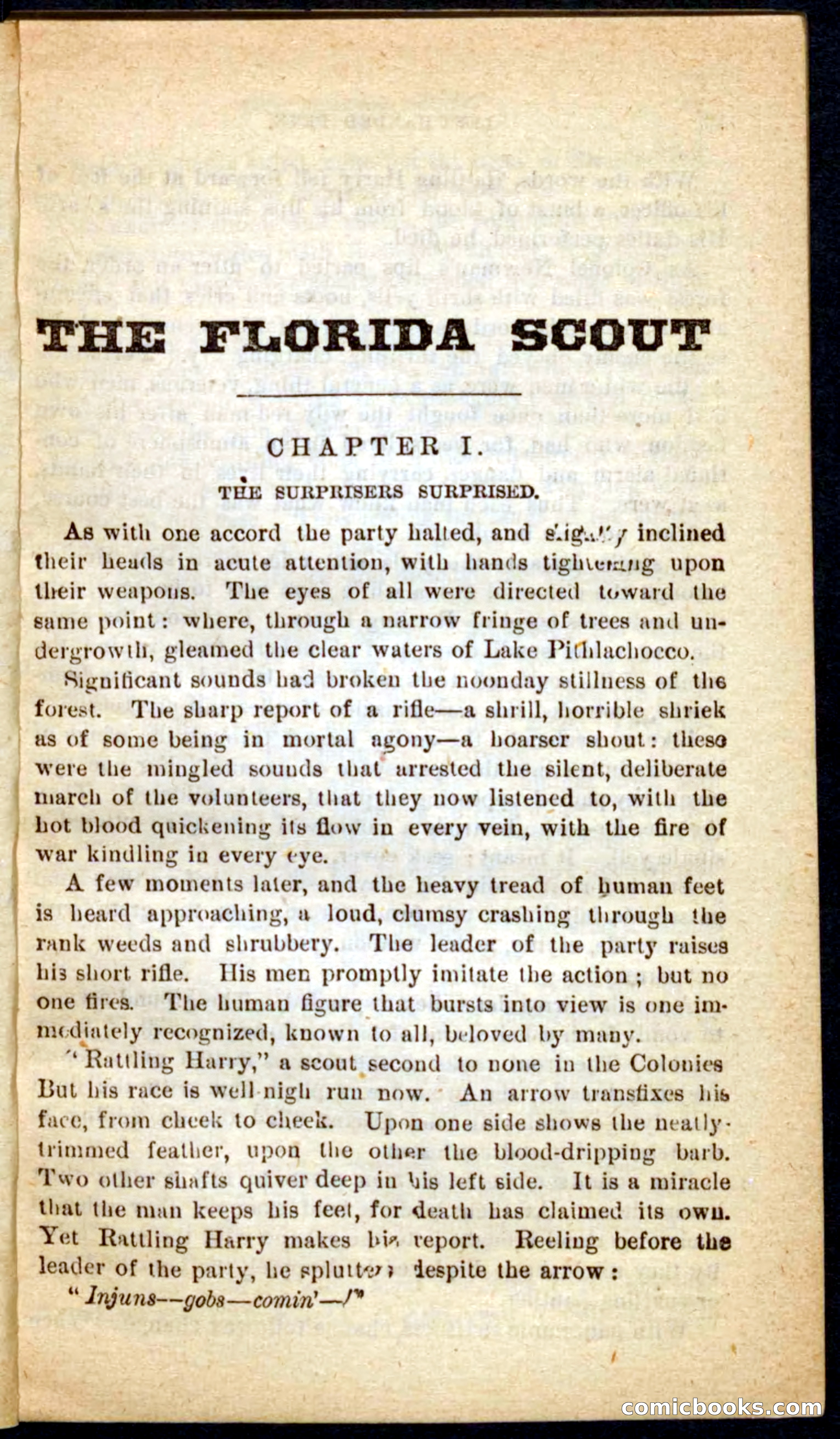 The Florida Scout — page 5 of 100