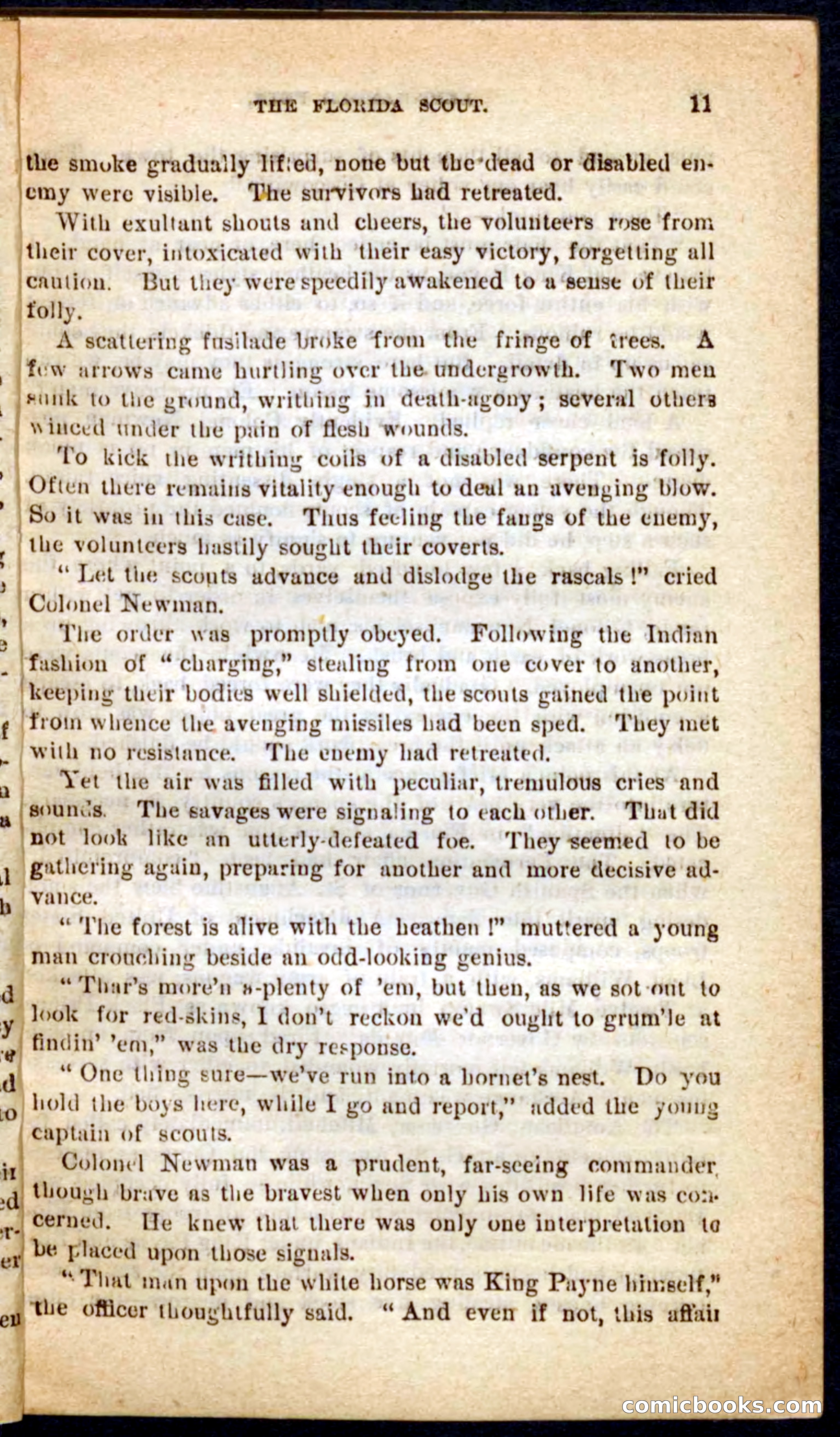 The Florida Scout — page 7 of 100