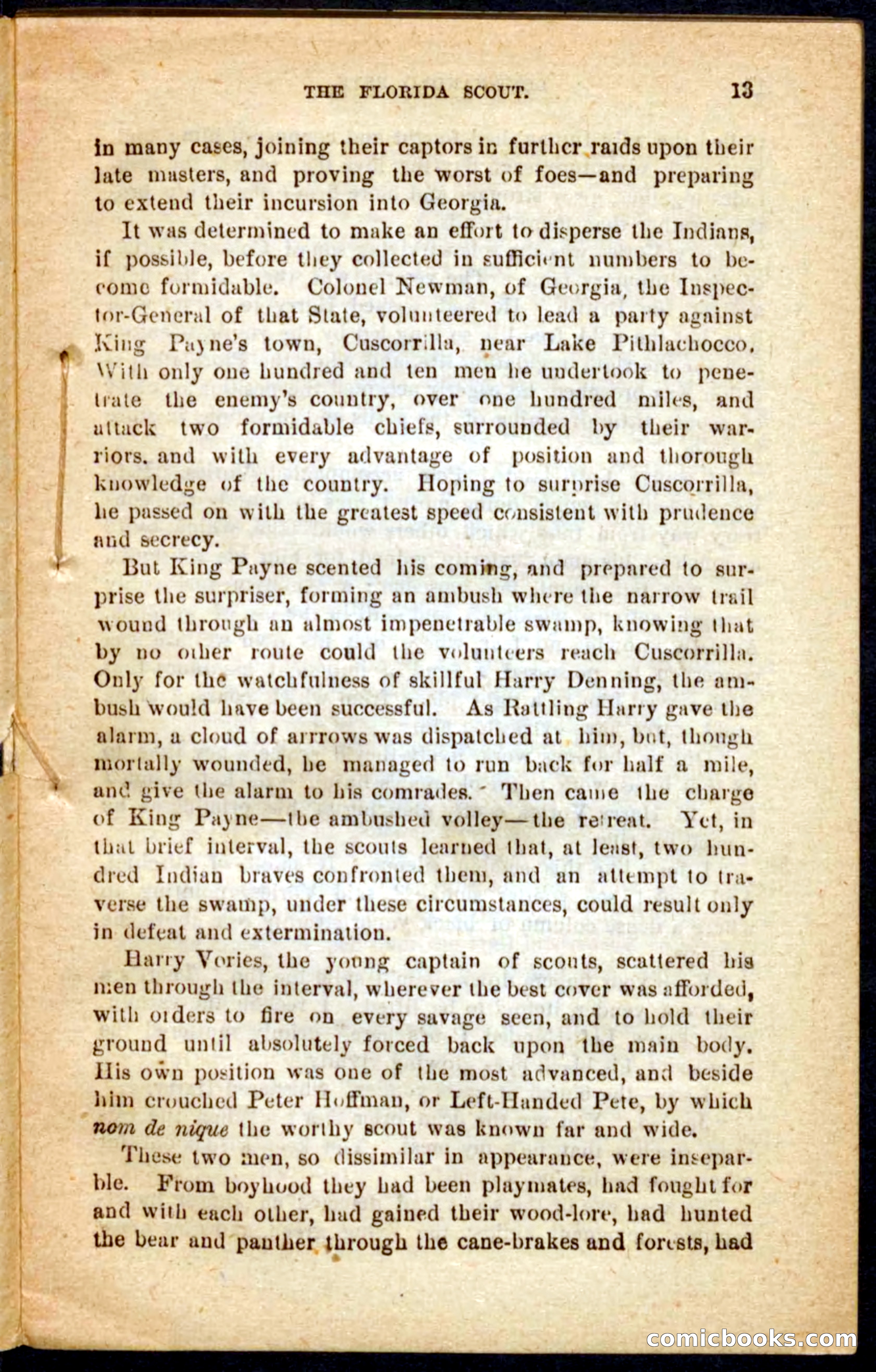 The Florida Scout — page 9 of 100